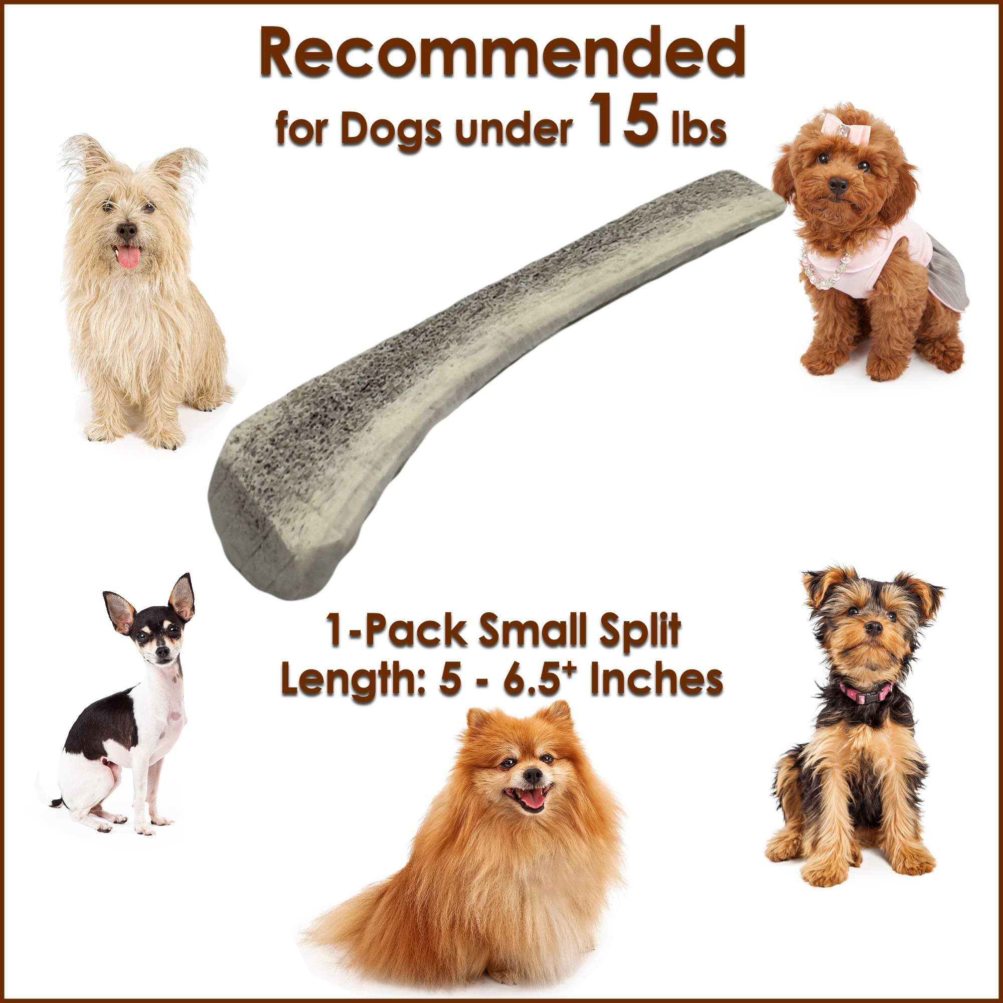 Deluxe Naturals 1-Pack Small Split Elk Antler Dog Chew (5 to 6.5+ in) - All Natural, Premium Grade A, Odor-Free, USA-Sourced - L