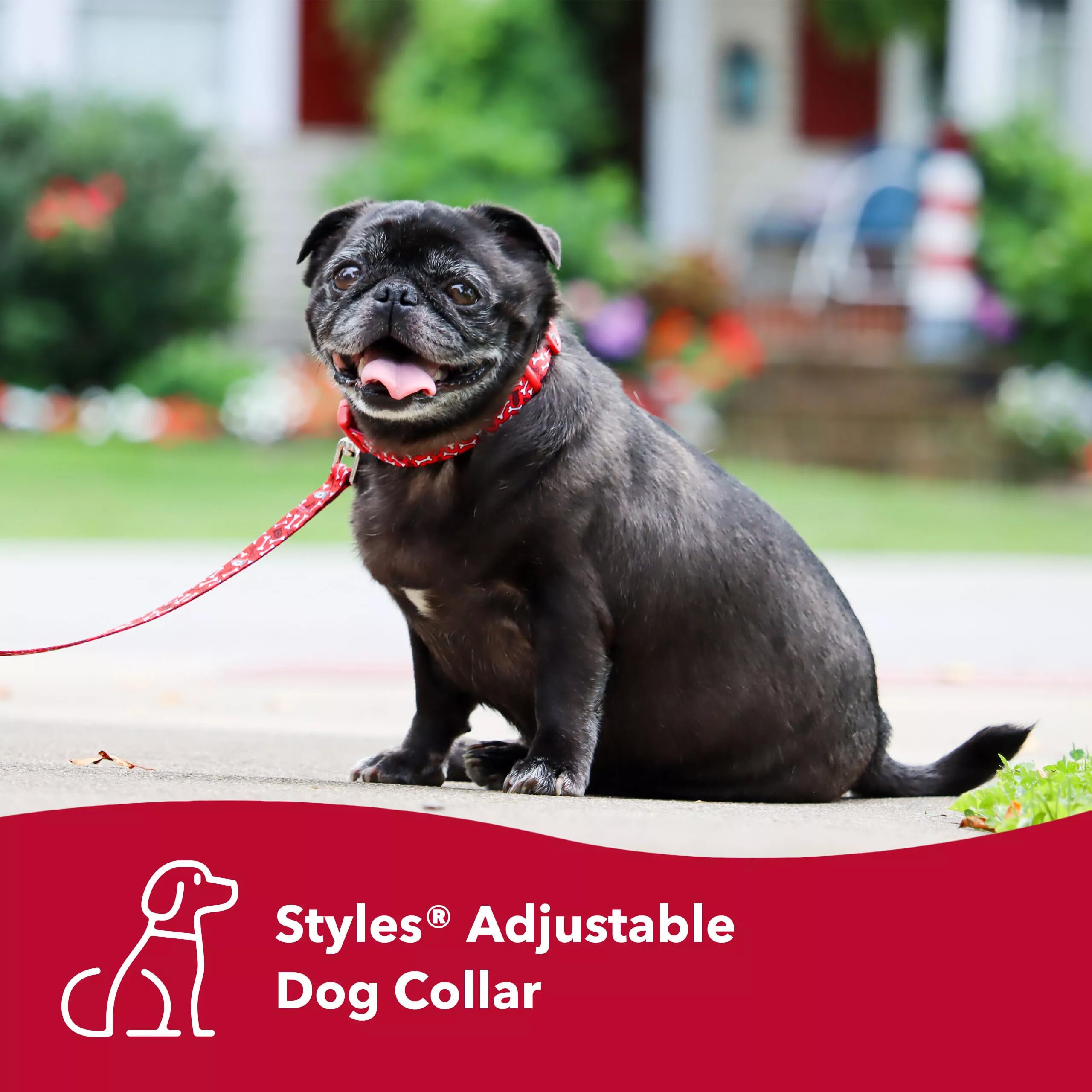 Coastal Pet Styles Adjustable Dog Collar - Stylish Patterned Fabrics - Snap-Lock Buckle - Adjustable Dog Collar - For Small, Medium Or Large Dogs - Black Skulls - 3/4' X 14-20'