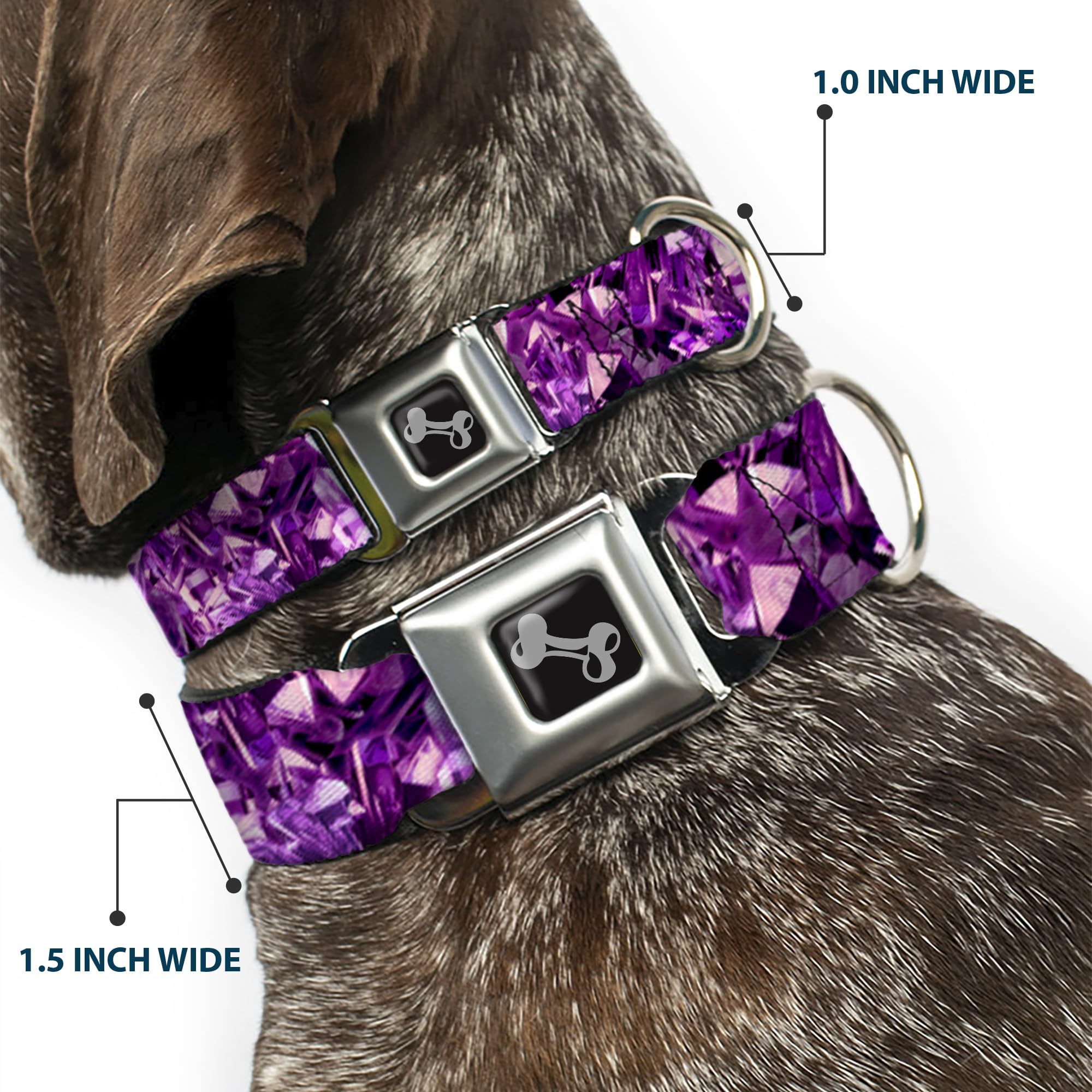 Buckle-Down Seatbelt Buckle Dog Collar - Crystals Purples - 1 Wide - Fits 9-15 Neck - Small