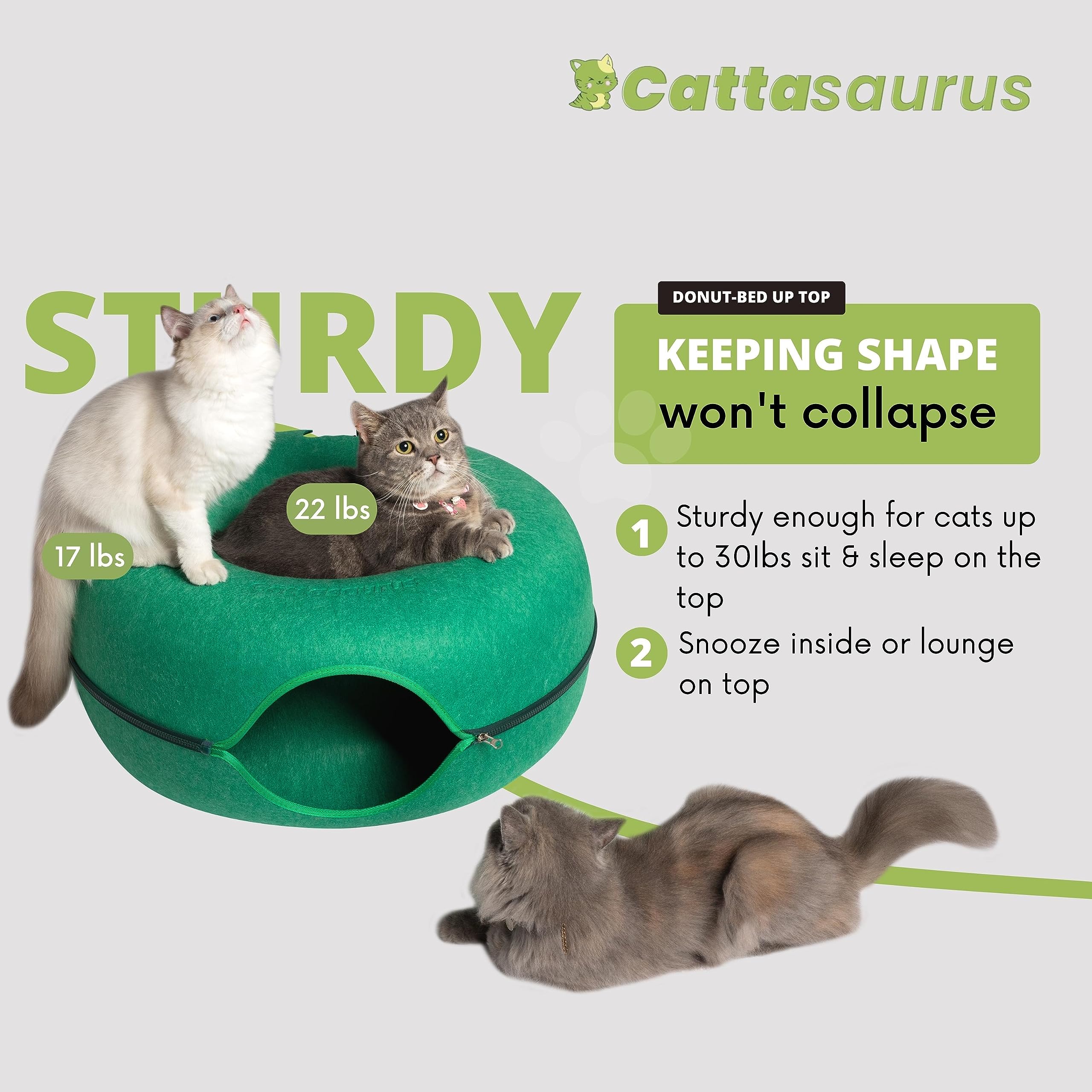 Cattasaurus Large Cat Cave - Scratch-Resistant Felt Tunnel Bed, Forest Green, Model PAB1701, Comfy for Cats Up to 45 Lbs