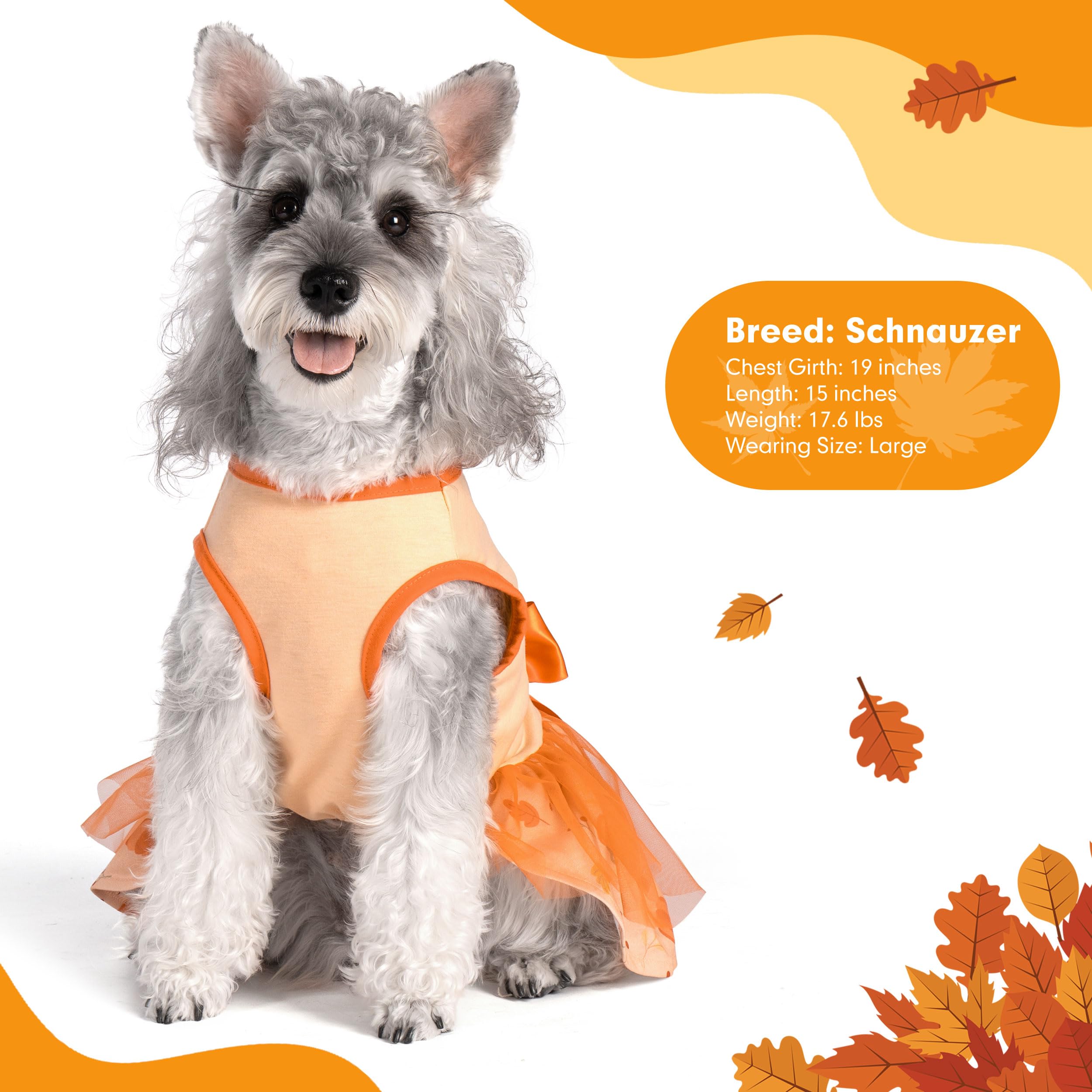 Cyeollo Thanksgiving Day Dog Dress - Turkey Small Puppy Clothes, Tulle Dresses, Pet Costumes, Holiday Outfit For Girls, Size M