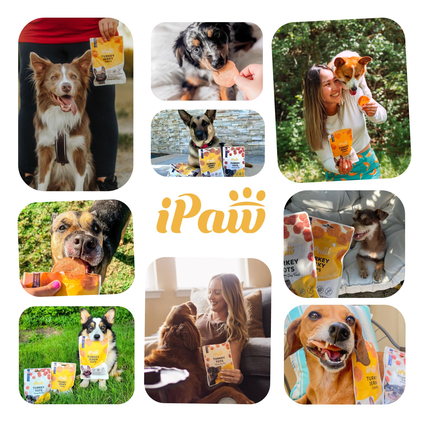 iPaw Dog Treats for Puppy Training, All Natural Human Grade Dog Treat, Hypoallergenic, Easy to Digest (Chicken Chips), 2 Packs