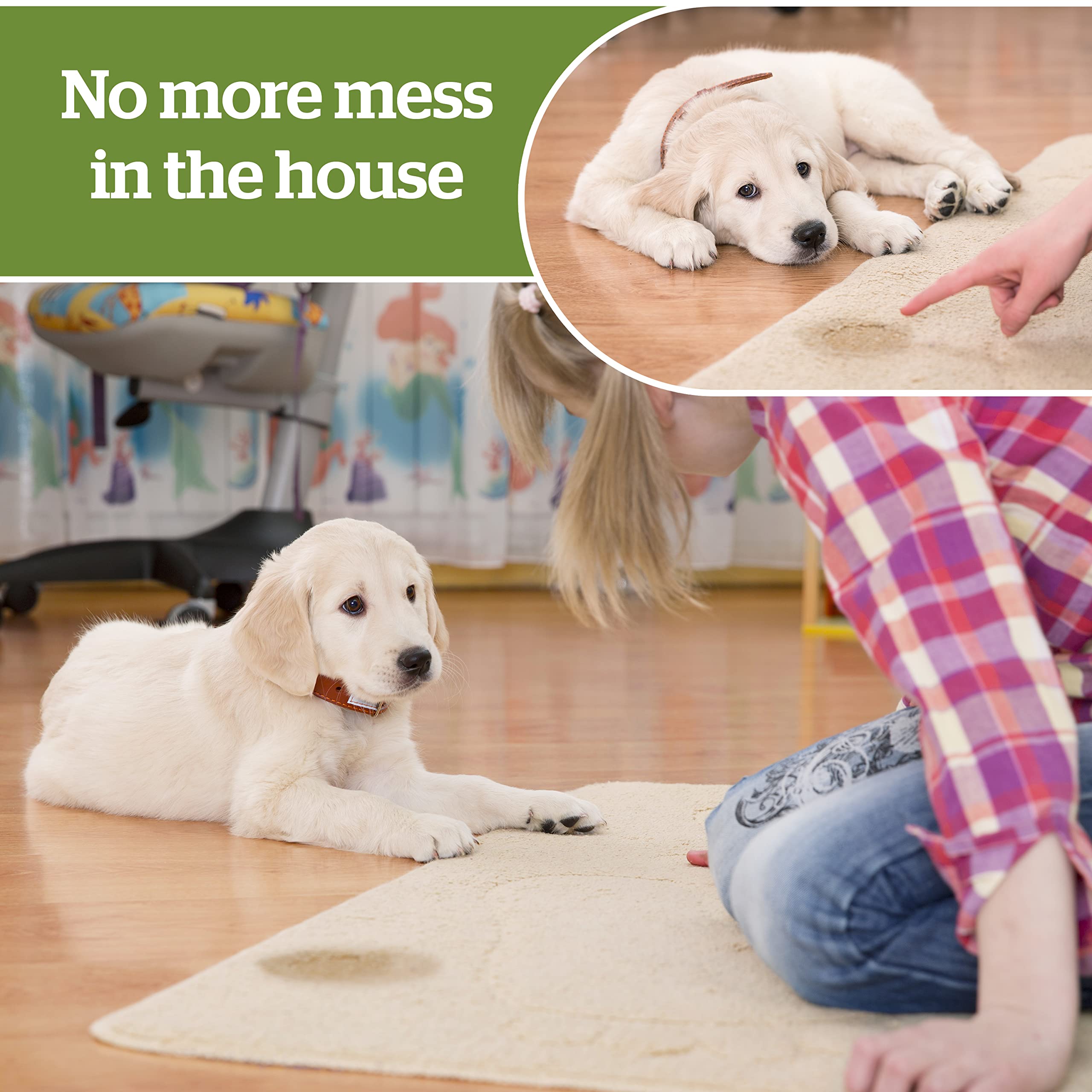 Pogi'S Dog Training Pads With Adhesive Sticky Tabs (50-Count) (24X24In) - Large Puppy Pads, Earth-Friendly Dog Pads, Plant-Based Puppy Pee Pads For Dogs - Puppy Supplies For Small To Large Sized Dogs