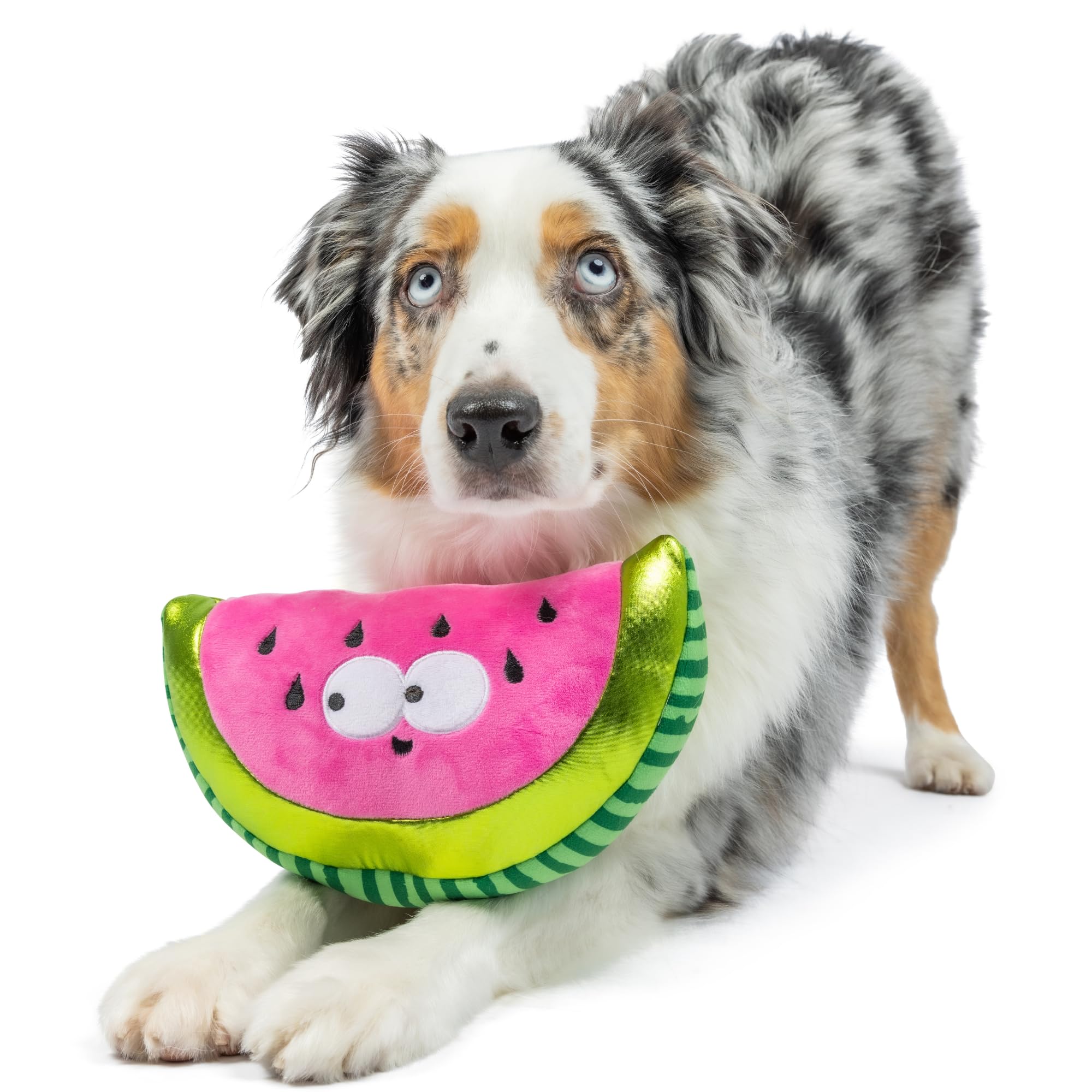 Huxley & Kent For Dogs - Walter Melon (Large) - Power Plush Dog Toy With Squeaker - Fun, Durable - H&K Squeaky Funny Dog Toy