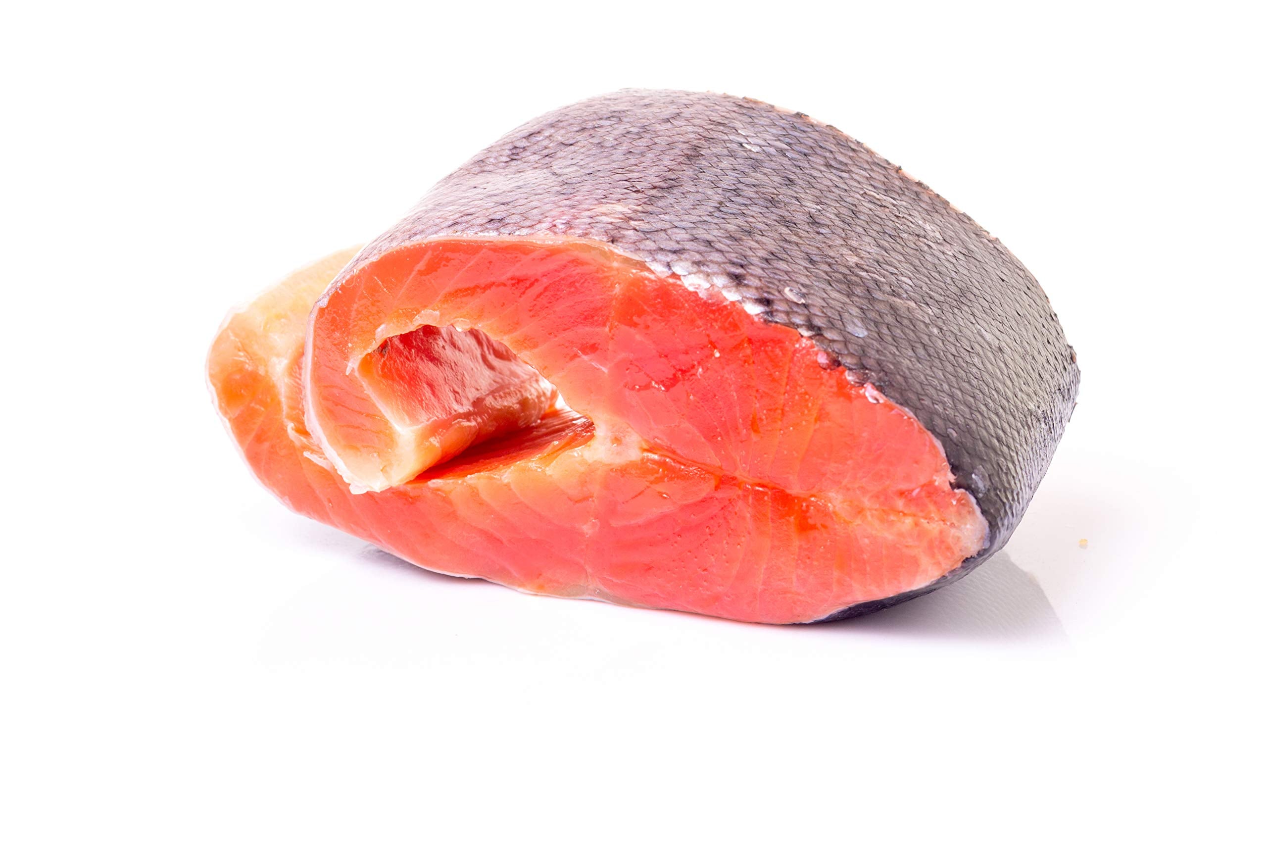 Plato Thinkers Salmon 18oz