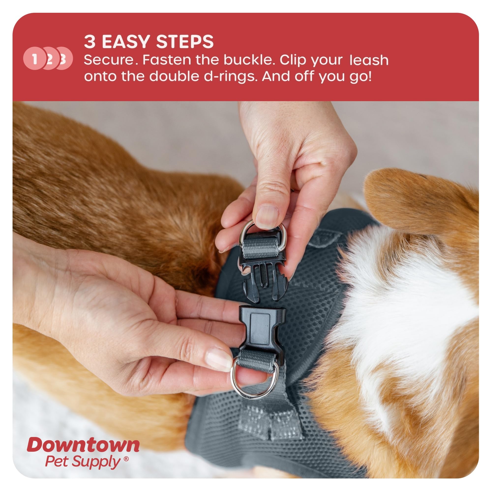 Downtown Pet Supply Step In Dog Harness For Small Dogs No Pull, Large, Titanium - Adjustable Harness With Padded Mesh Fabric And