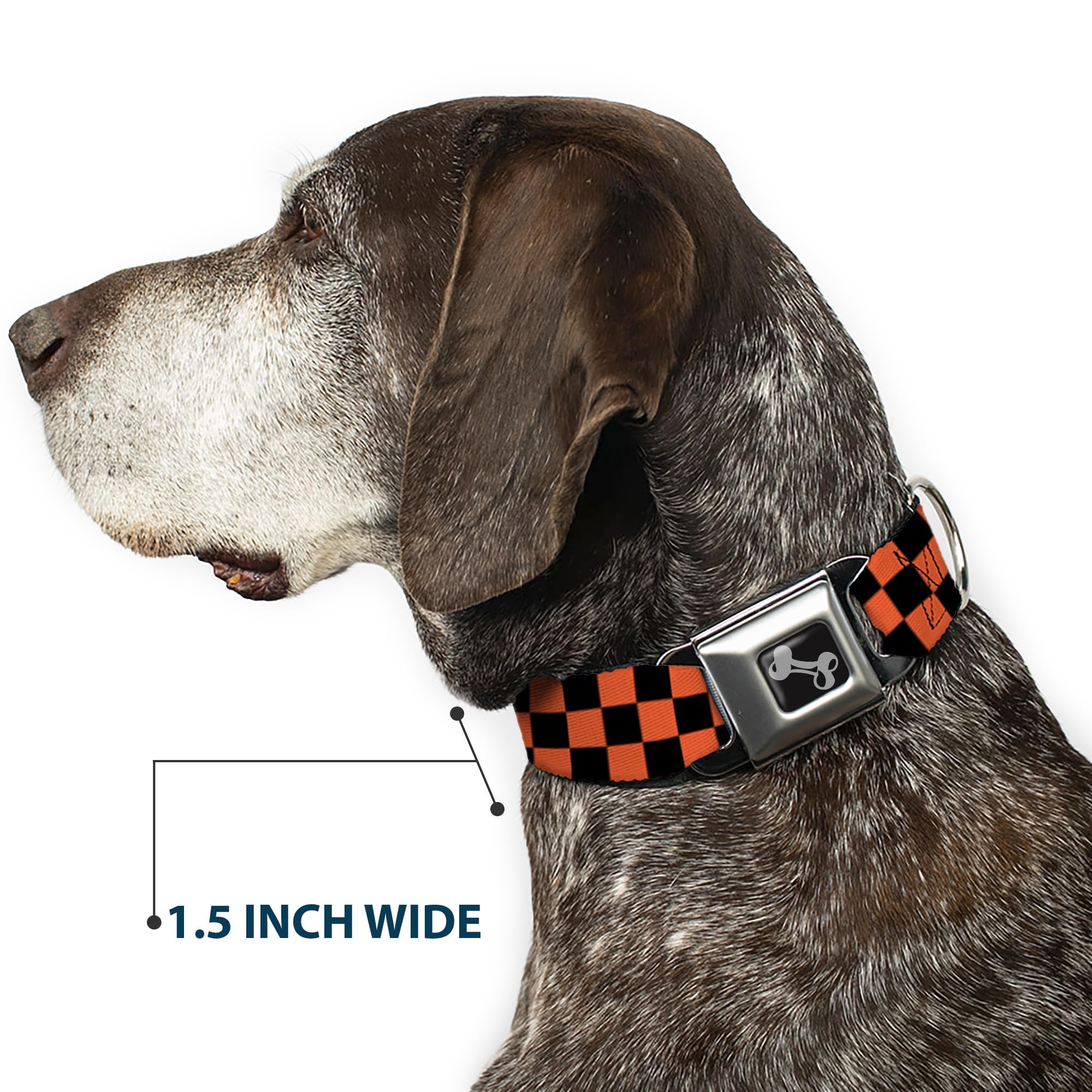 Buckle-Down 13-18 Checker Black/Orange Dog Collar Bone, Wide Small