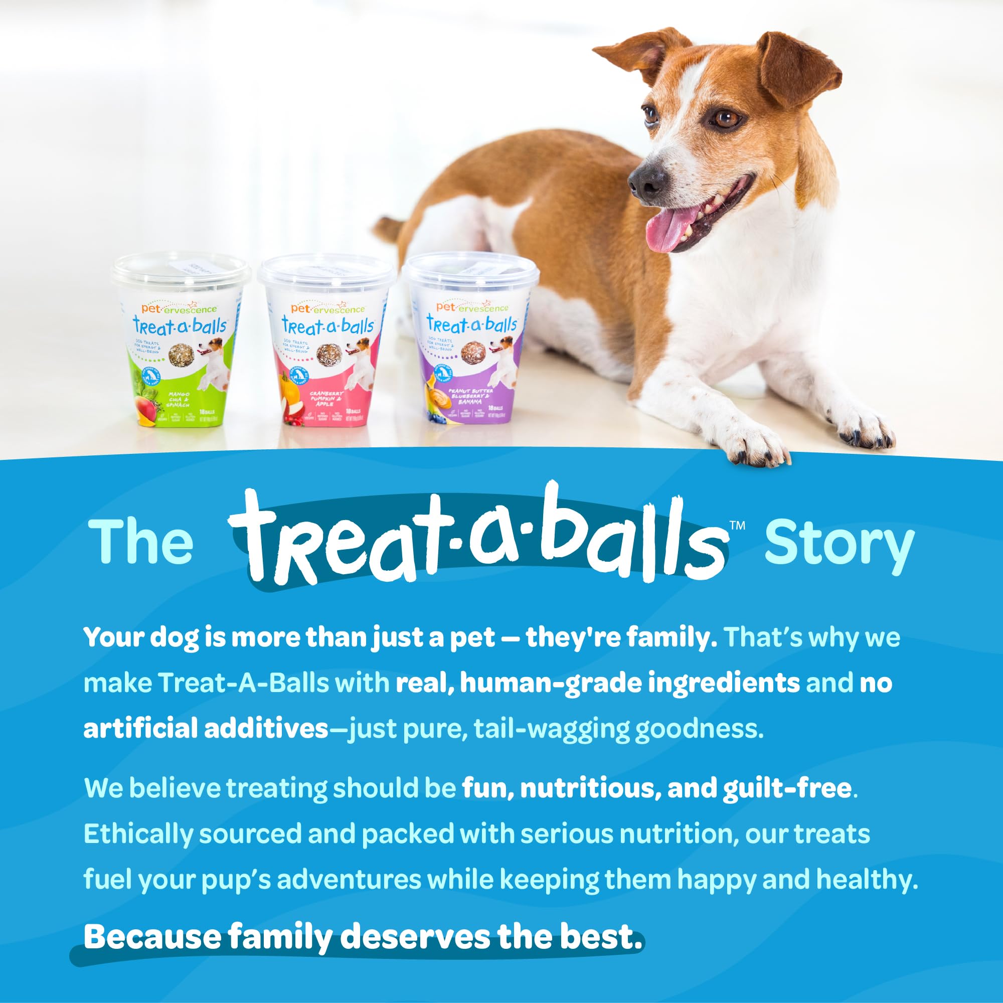 TREAT-A-BALLS Nutritious All Natural Bulk Dog Treats - Vegan, Fiber-Rich, Human-Grade - All Breeds, Sizes, Ages - Made in New Ze