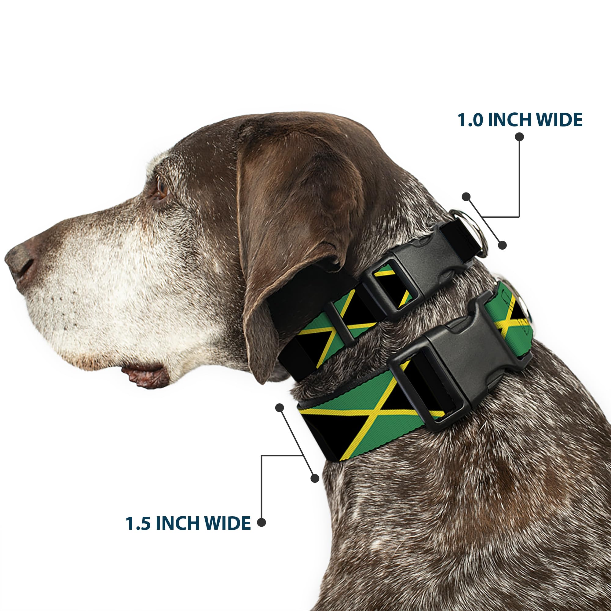 Buckle-Down Plastic Clip Collar - Jamaica Flags - 1/2'' Wide - Fits 8-12'' Neck - Medium
