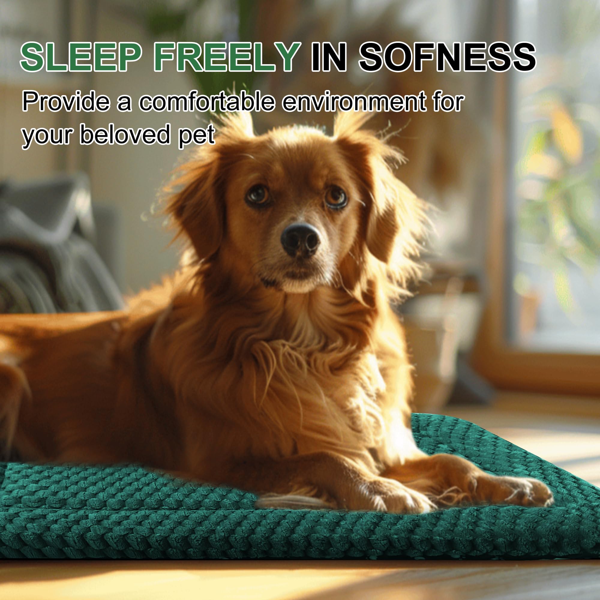 Dog Bed Crate Mat, Soft Durable Washable Anti-Slip Kennel Pad for Dogs & Cats, Reversible (Dark Green, L(35*23*1.5))