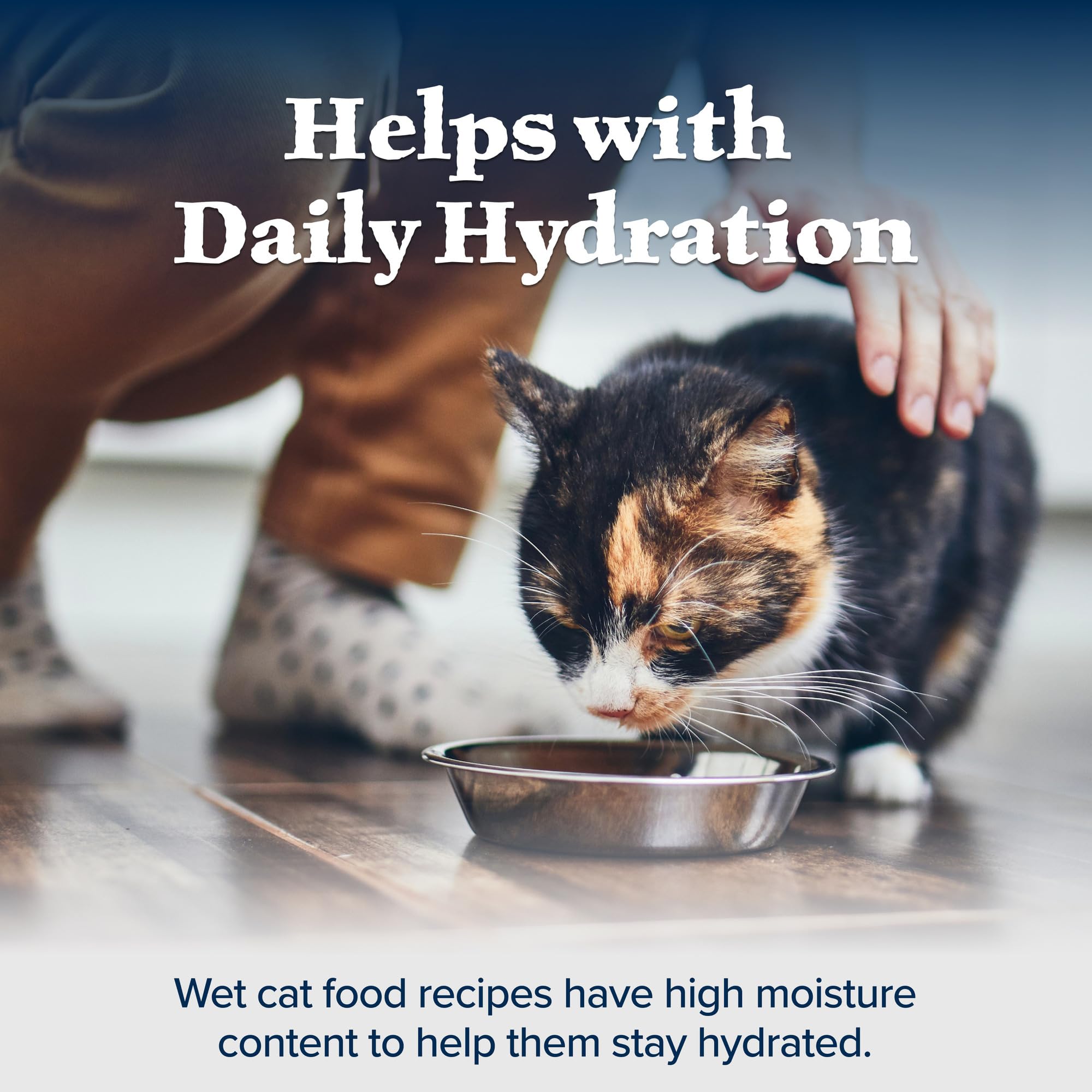 Blue Buffalo Wilderness High-Protein Grain-Free Wet Food For Adult Cats 7+, Chicken Recipe, 5.5-oz., 24-count
