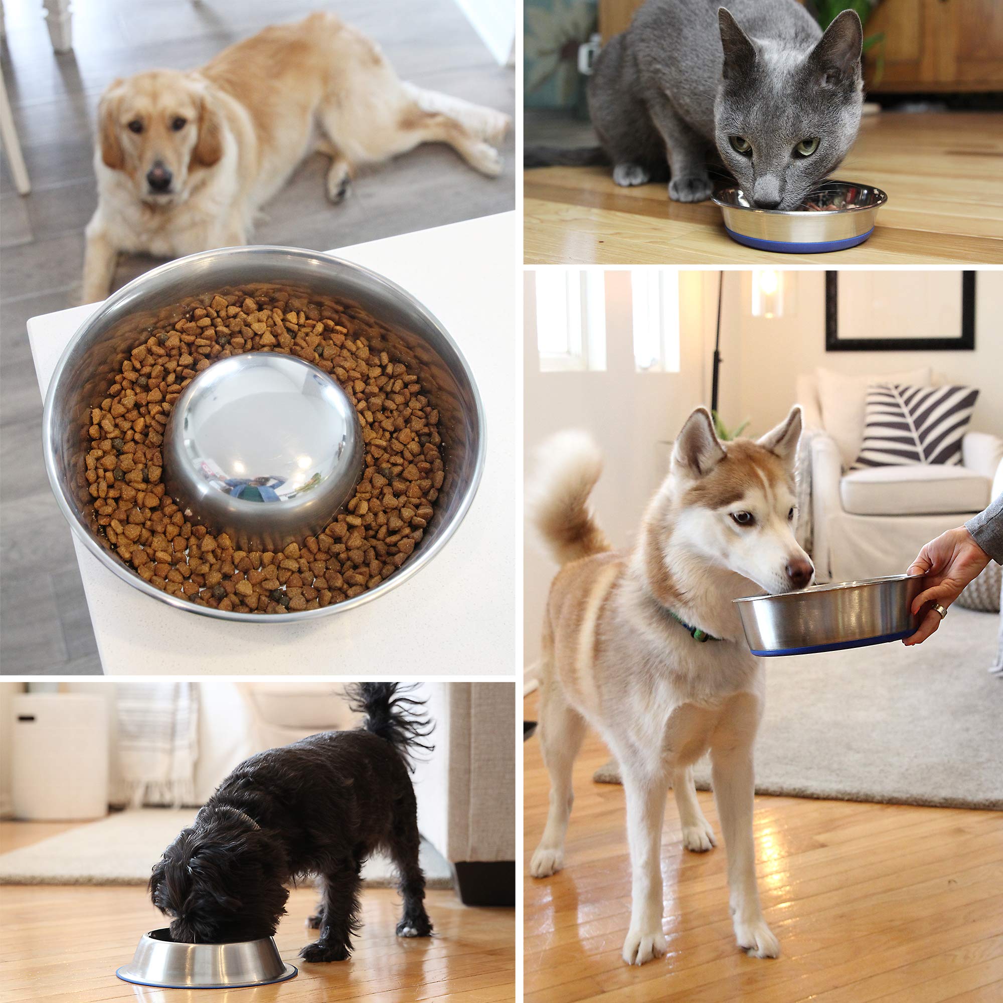 OurPets DuraPet Premium Dishwasher Safe Stainless Steel Dog Bowl for Food or Water [Multiple Sizes for Small to Large Dogs] in T