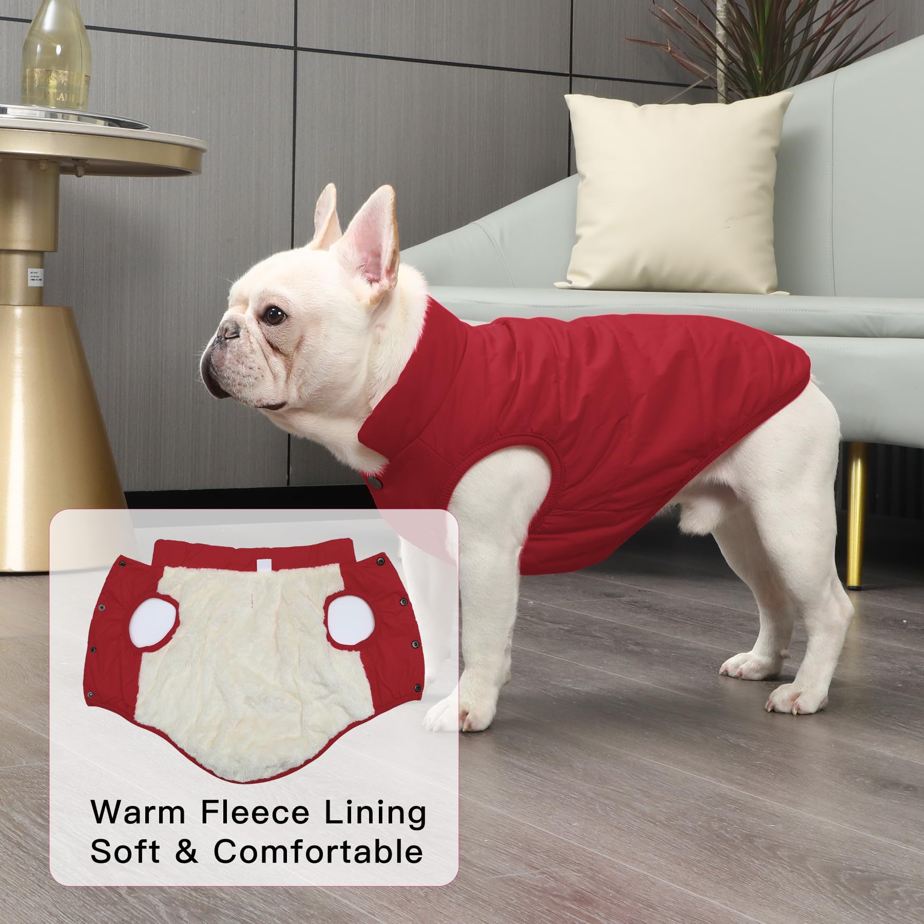 Joydaog 2 Layers Fleece Lined Warm Dog Jacket For Winter Cold Weather,Soft Windproof Medium Dog Coat,Red L