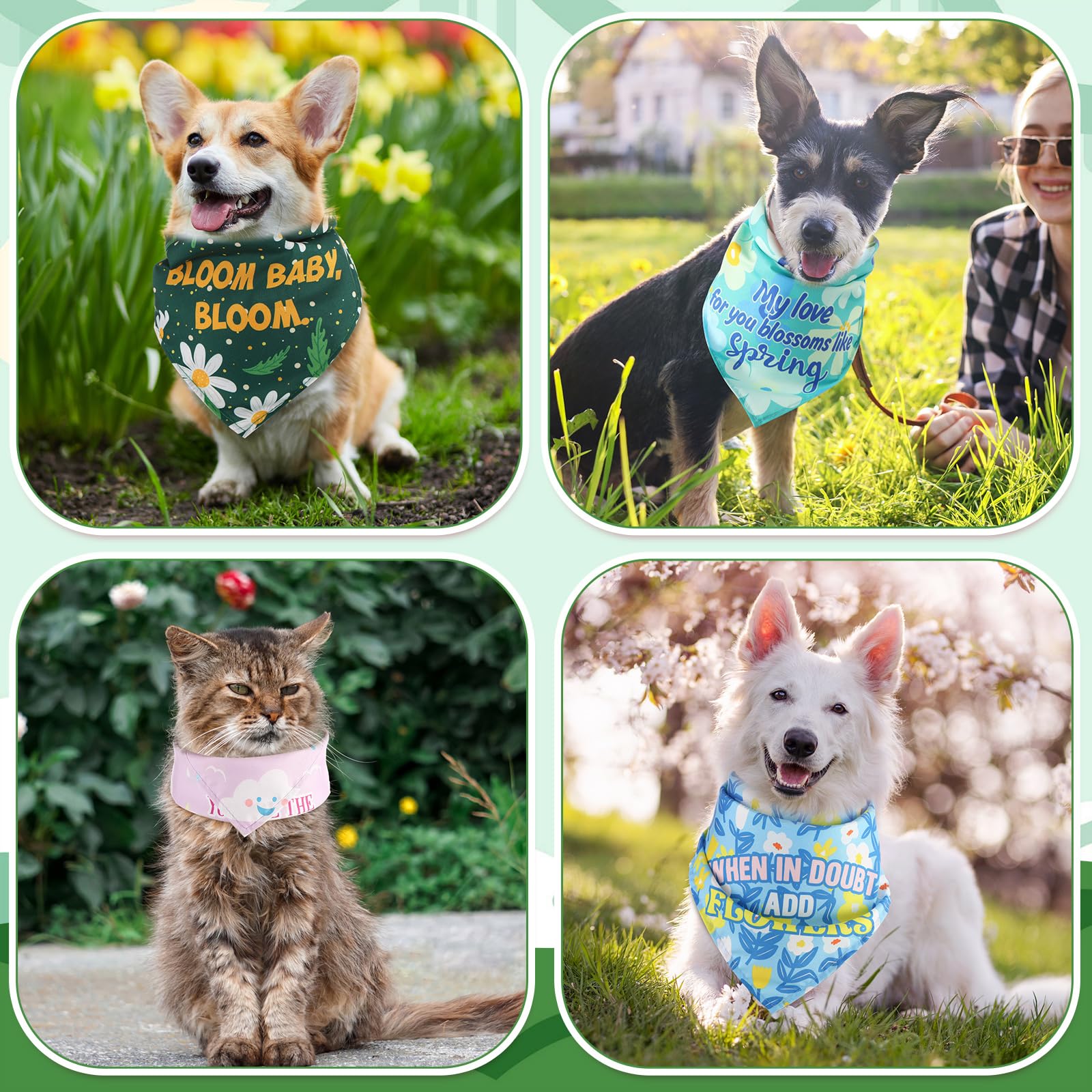 Kacctyen 200 Pcs Dog Bandana Bulk For Groomers With Sayings Spring Floral Printed Pet Triangle Scarf Bibs Washable Puppy Kerchie