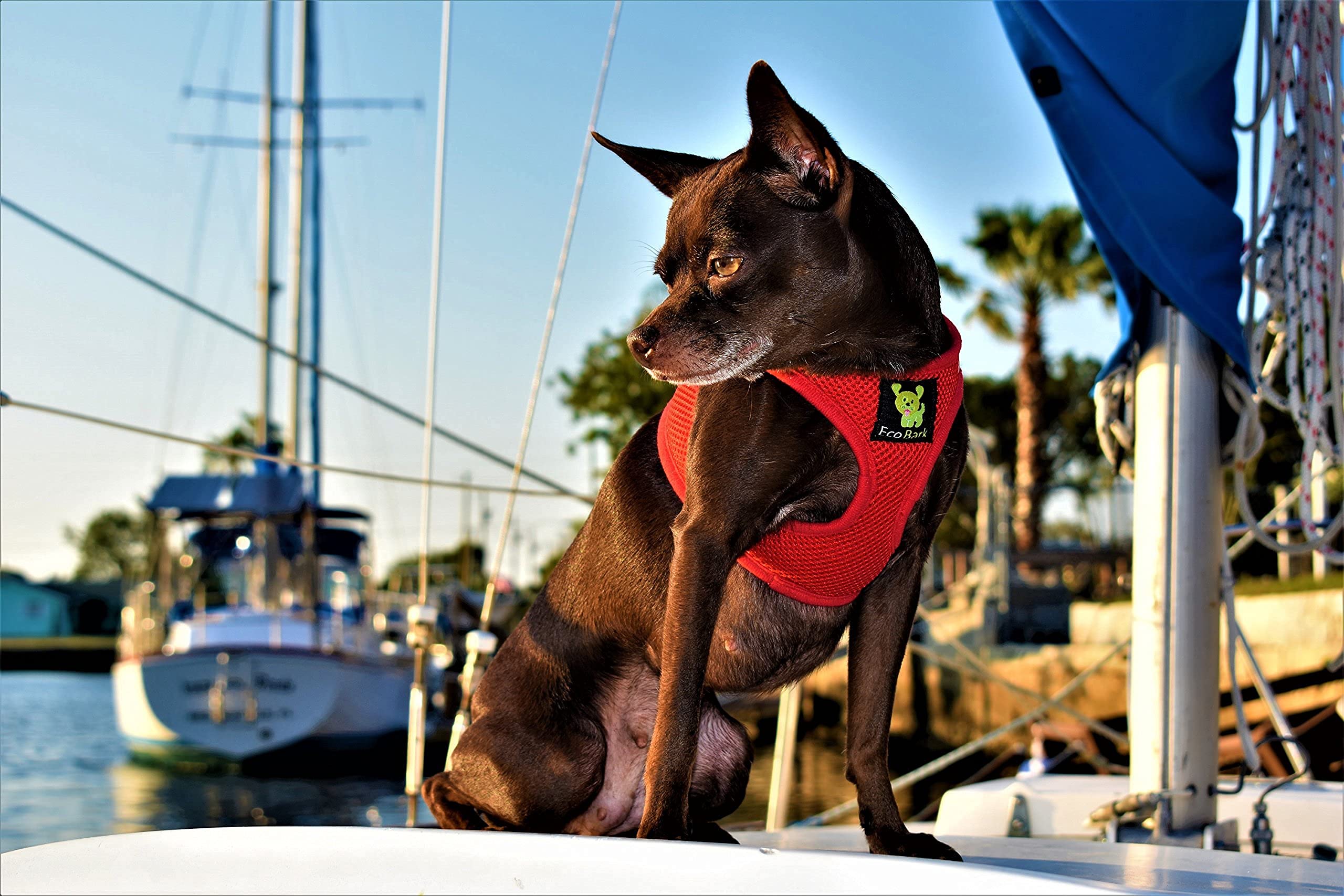 Ecobark Rapid Fastener Super Comfort Fully Adjustable Double Padded Step In Dog Harness (Large, Red)