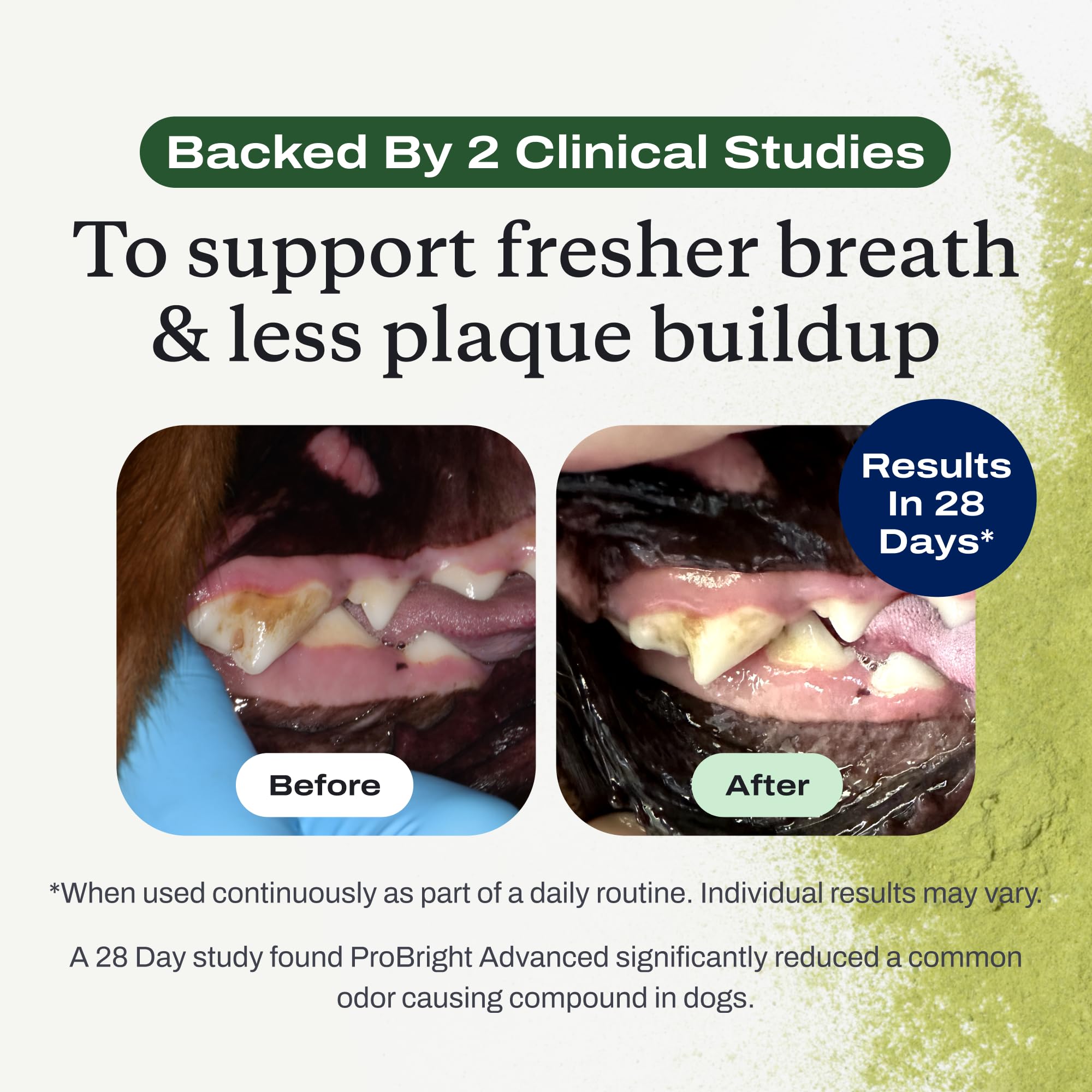 PetLab Co. ProBright Advanced Dental Powder - Dog Breath Freshener - Teeth Cleaning Made Easy - Targets Tartar & Bad Breath - Pa