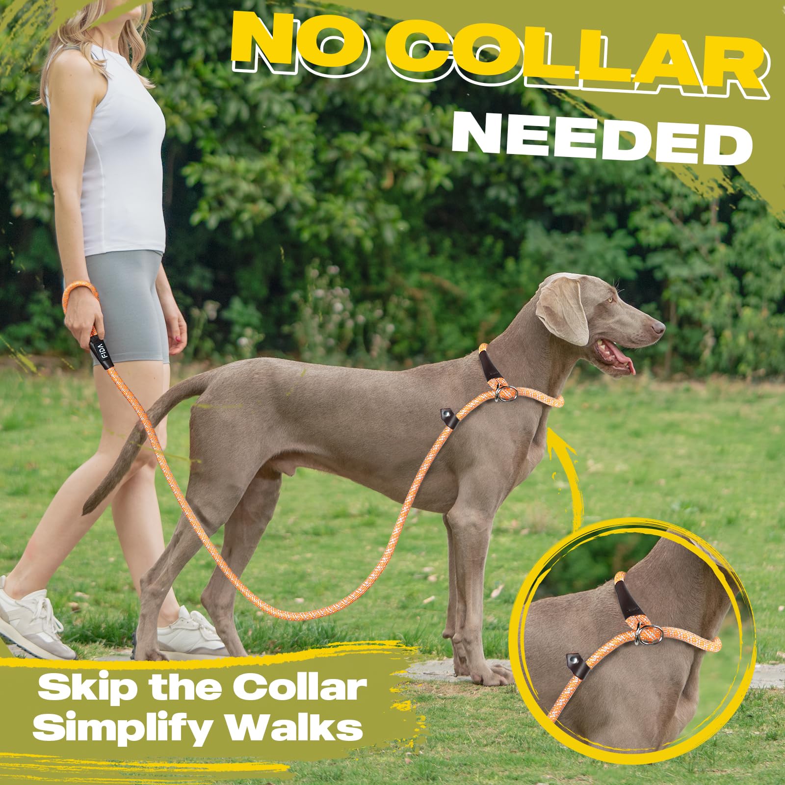 Fida Durable Slip Loop Lead For Large, Medium Dogs, 6 Ft X 1/2' Heavy Duty, Comfortable Strong Rope, No Pull Pet Training Leash With Highly Reflective, Orange