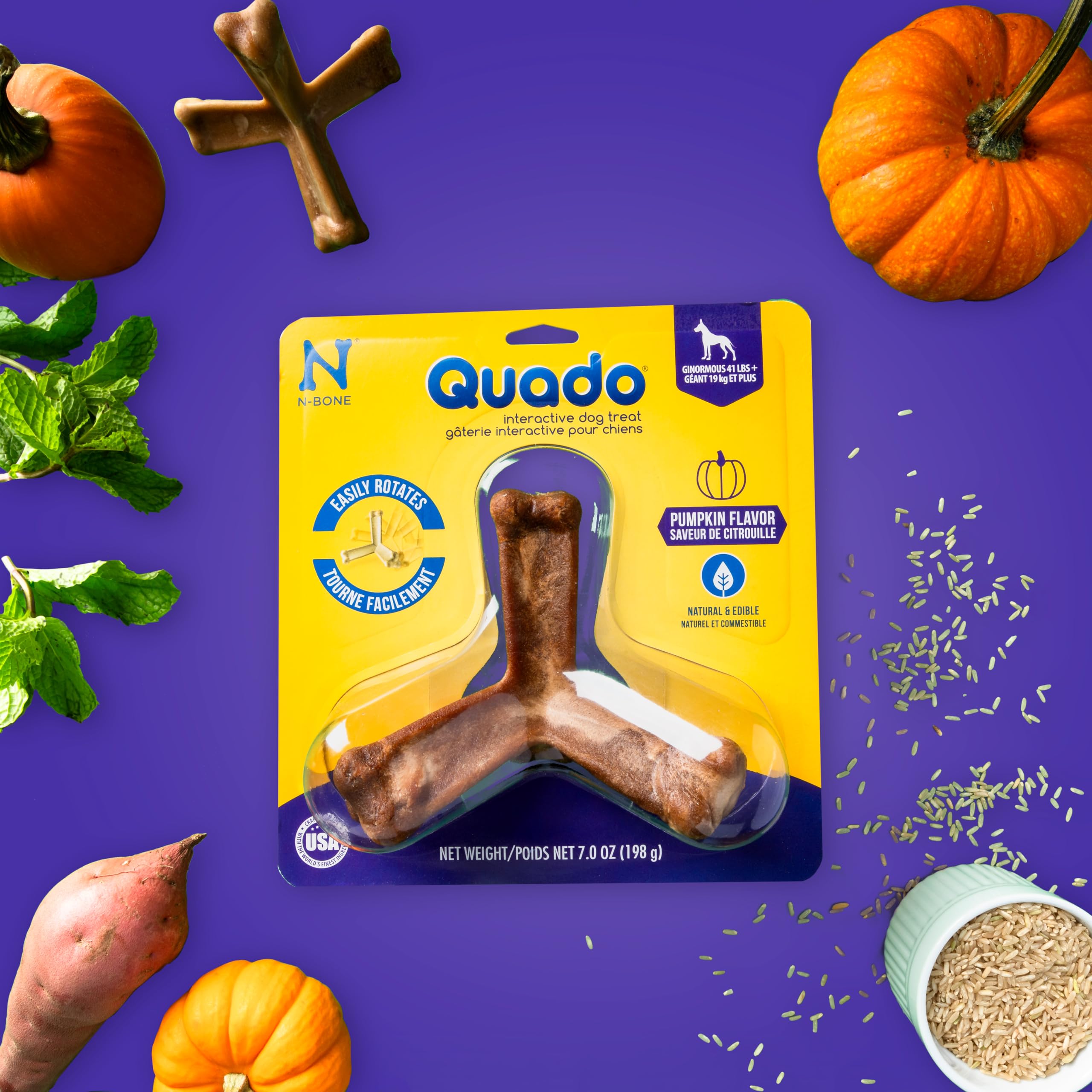 N-Bone Nbone 115097 Quado in Pumpkin, Large (575174)