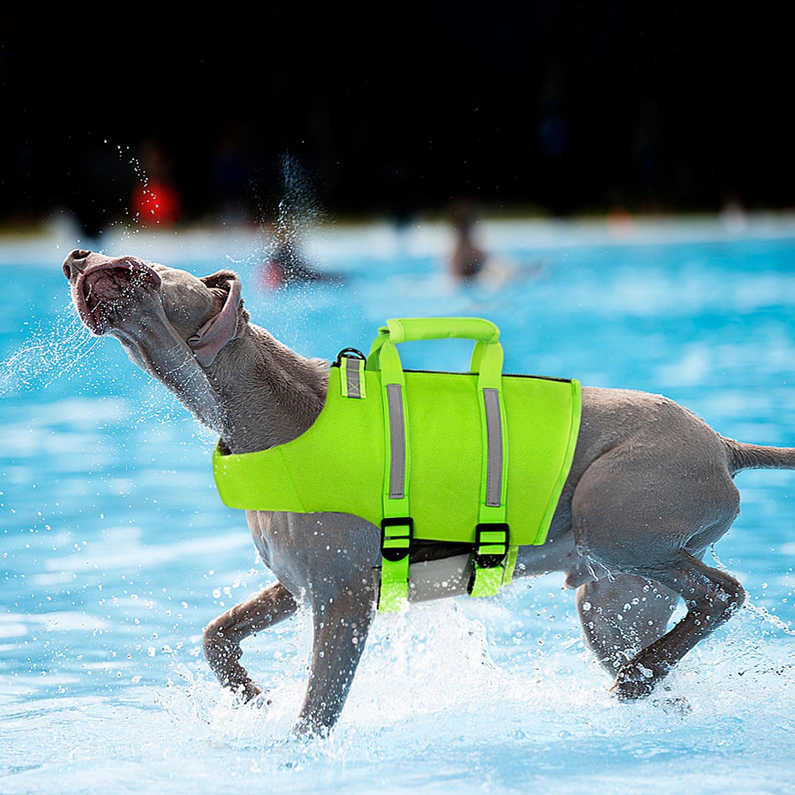 Queenmore Dog Life Jacket,Dog Life Vest For Swimming,Medium Dog Swim Vest,Lightweigth Adjustable Reflective Puppy Pet Float Life