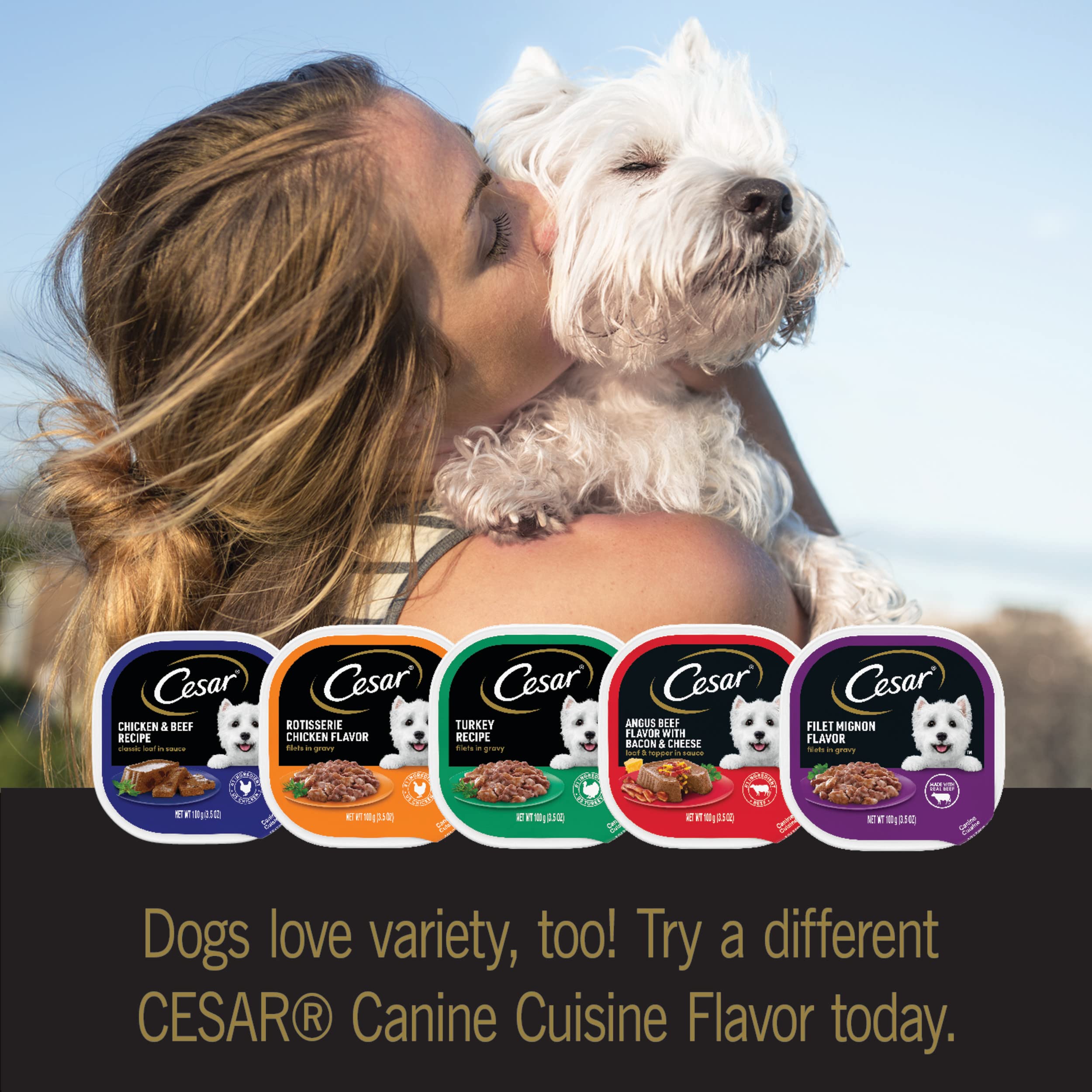 CESAR Small Breed Dry & Wet Dog Food, All Flavors