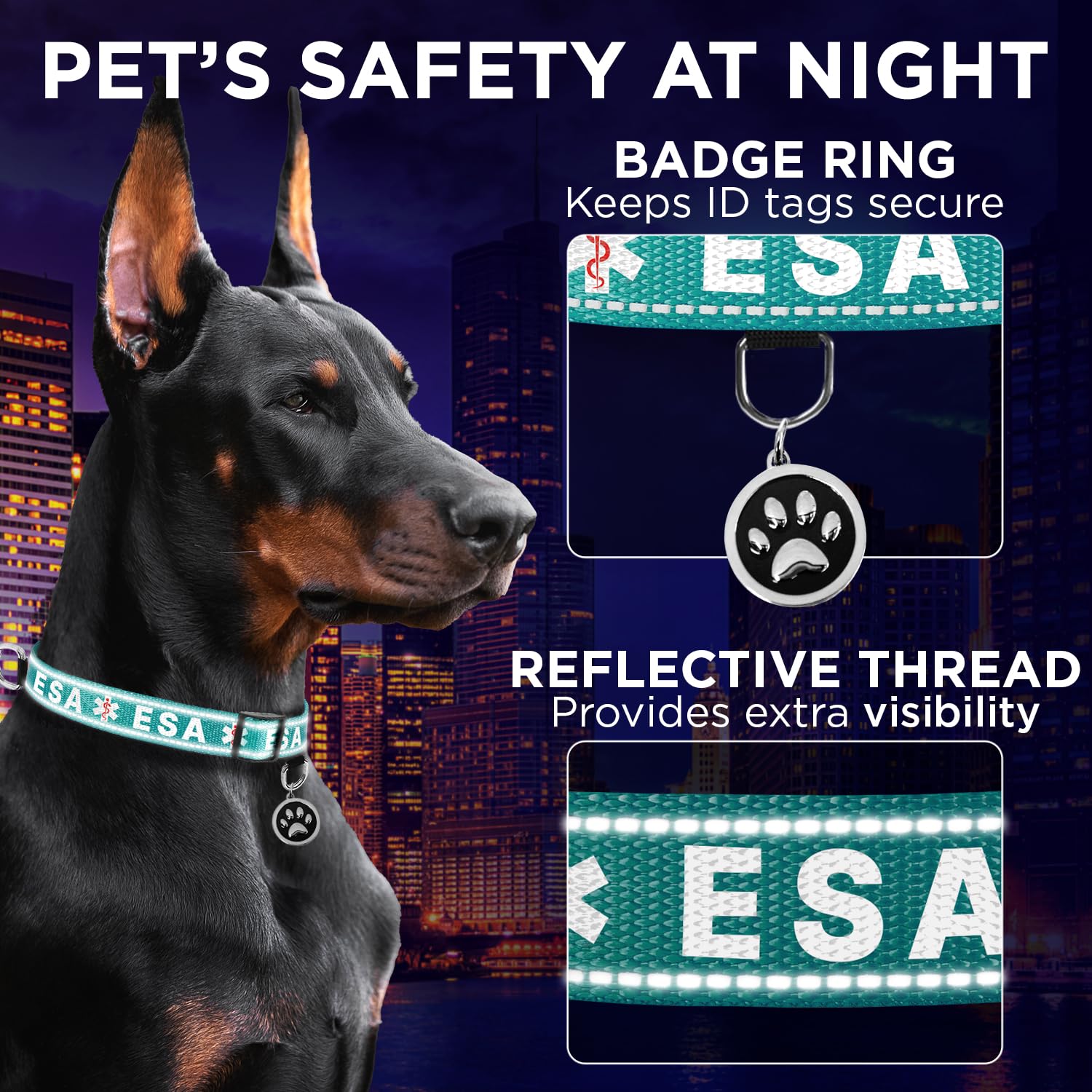 Teceum Reflective Pet Collar - Teal - Esa - M - Extra Soft Padding - Basic Nylon Dog Collar - Quick Release Buckle - Fits Small,