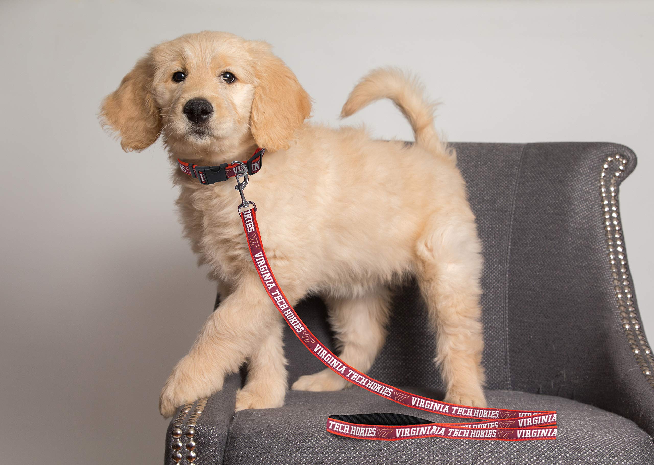 NCAA PET Leash, Medium, Virginia Tech Hokies, Shiny & Colorful Leash for Dogs & Cats Licensed by The NCAA