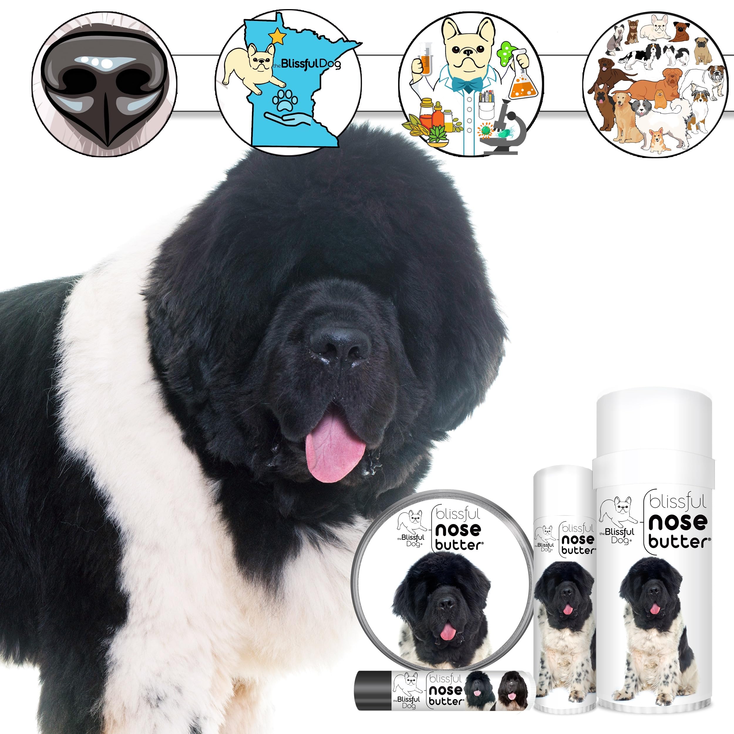 The Blissful Dog Landseer Newfoundland Nose Butter