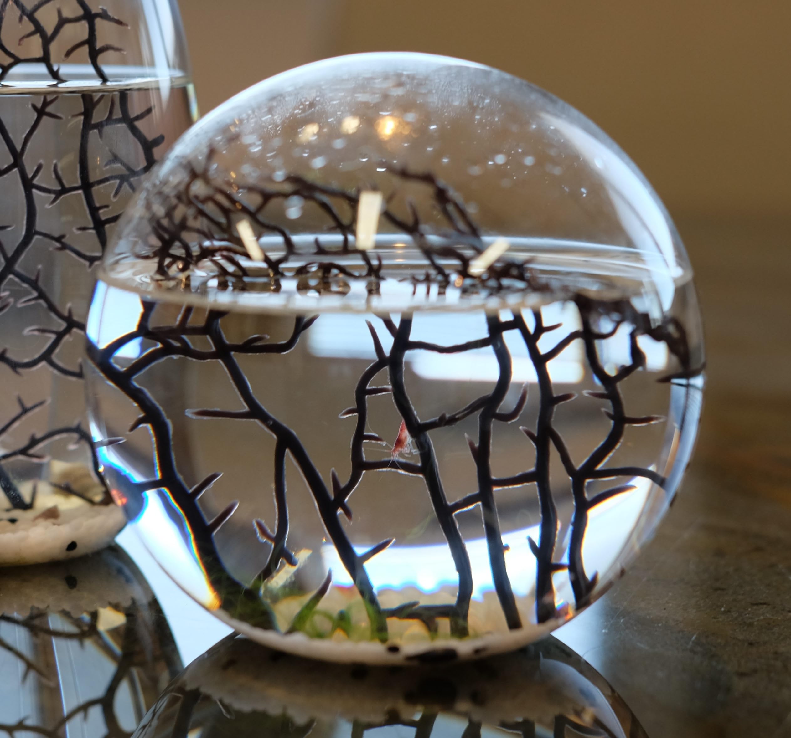 Eccosmo- Closed Ecosystem, Small Round Sphere 4