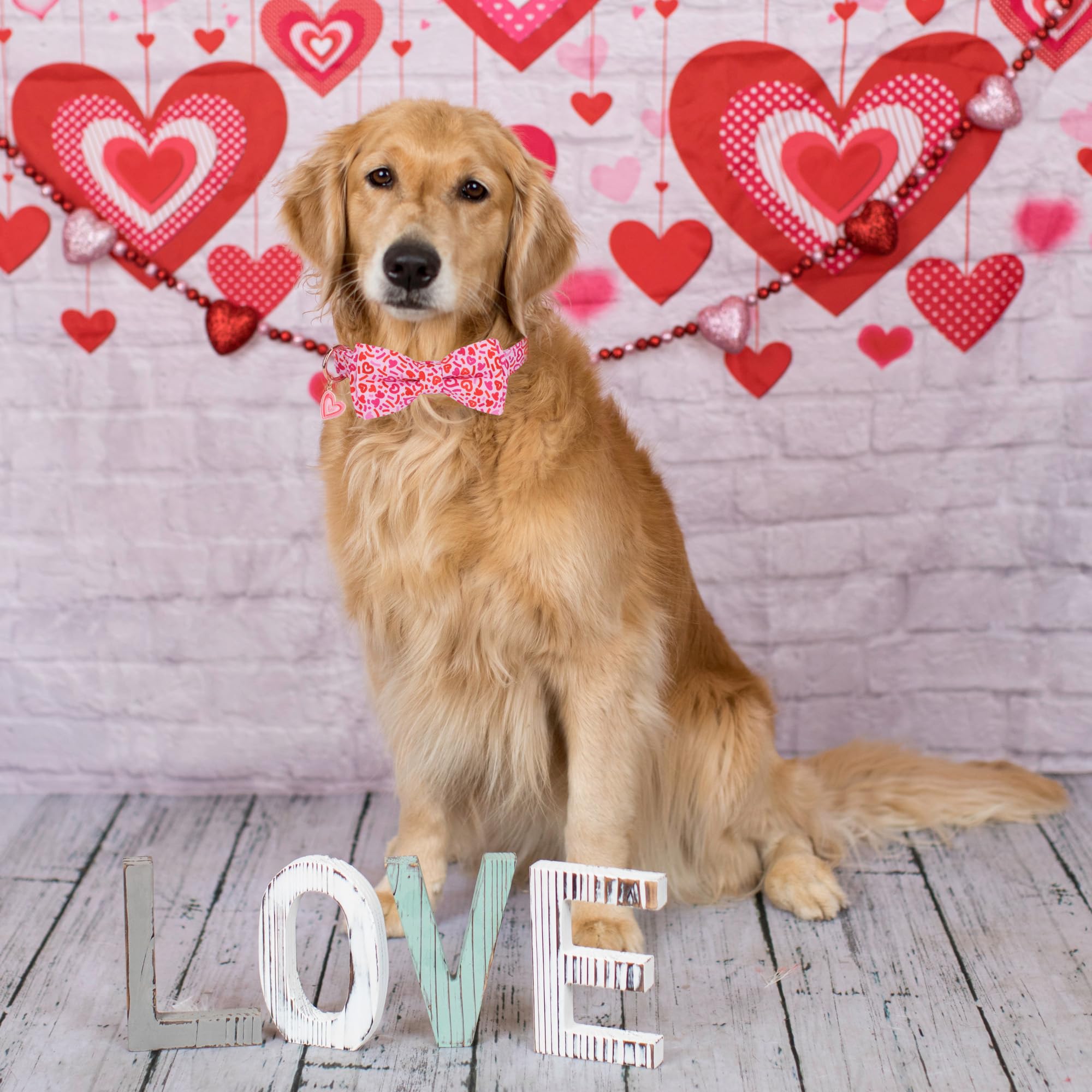 Adoggygo Valentine Dog Collar With Bow, Metal Buckle, Adjustable Pink Heart Bowtie Pet Valentine Collars For Medium Large Dogs (