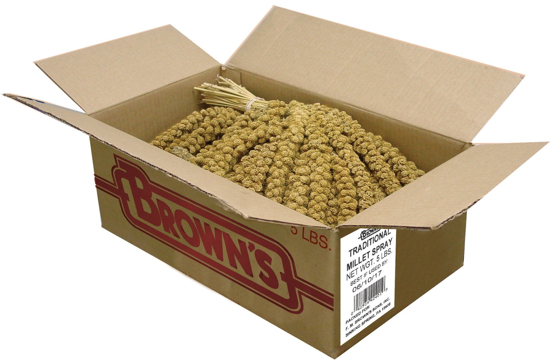 F.M. Browns Golden Millet Spray, All-Natural Foraging Treat for Pet and Wild Birds, 5-lb Bag - Sun-Cured, Grown and Harvested i