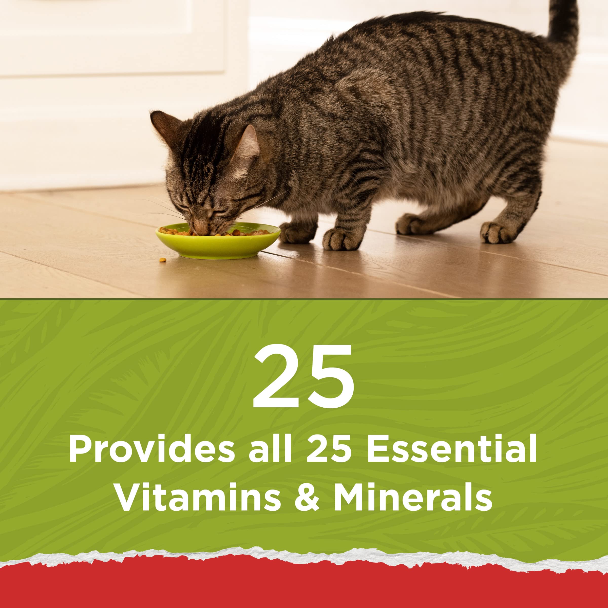 Purina Cat Chow Naturals With Added Vitamins, Minerals and Nutrients Dry Cat Food, Naturals Original - (6) 16 oz. Pouches