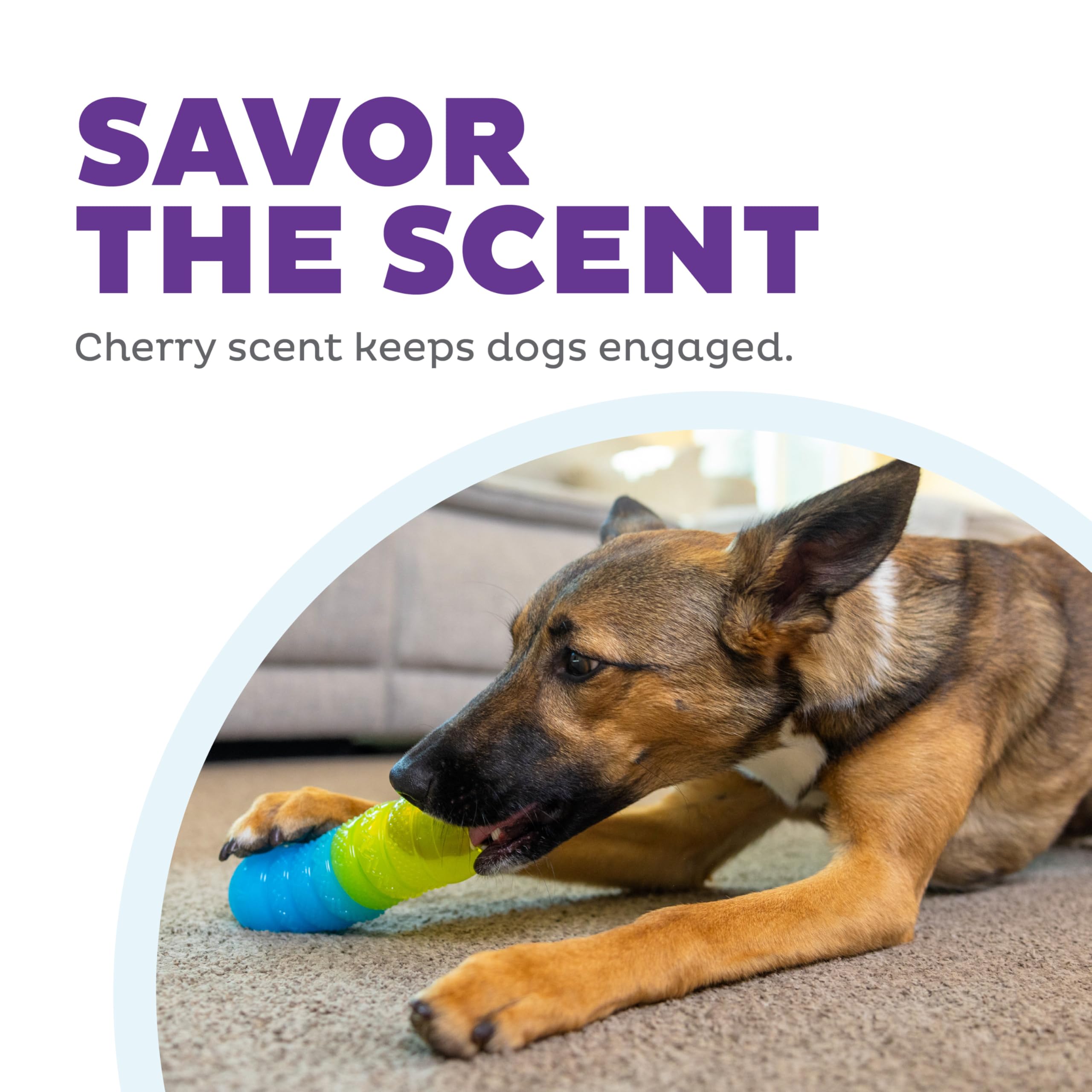 Outward Hound Gummiez Worm 2-in-1 Dental Dog Chew Toy and Dog Treat Stuffer Game, Cherry Scent, Multicolored
