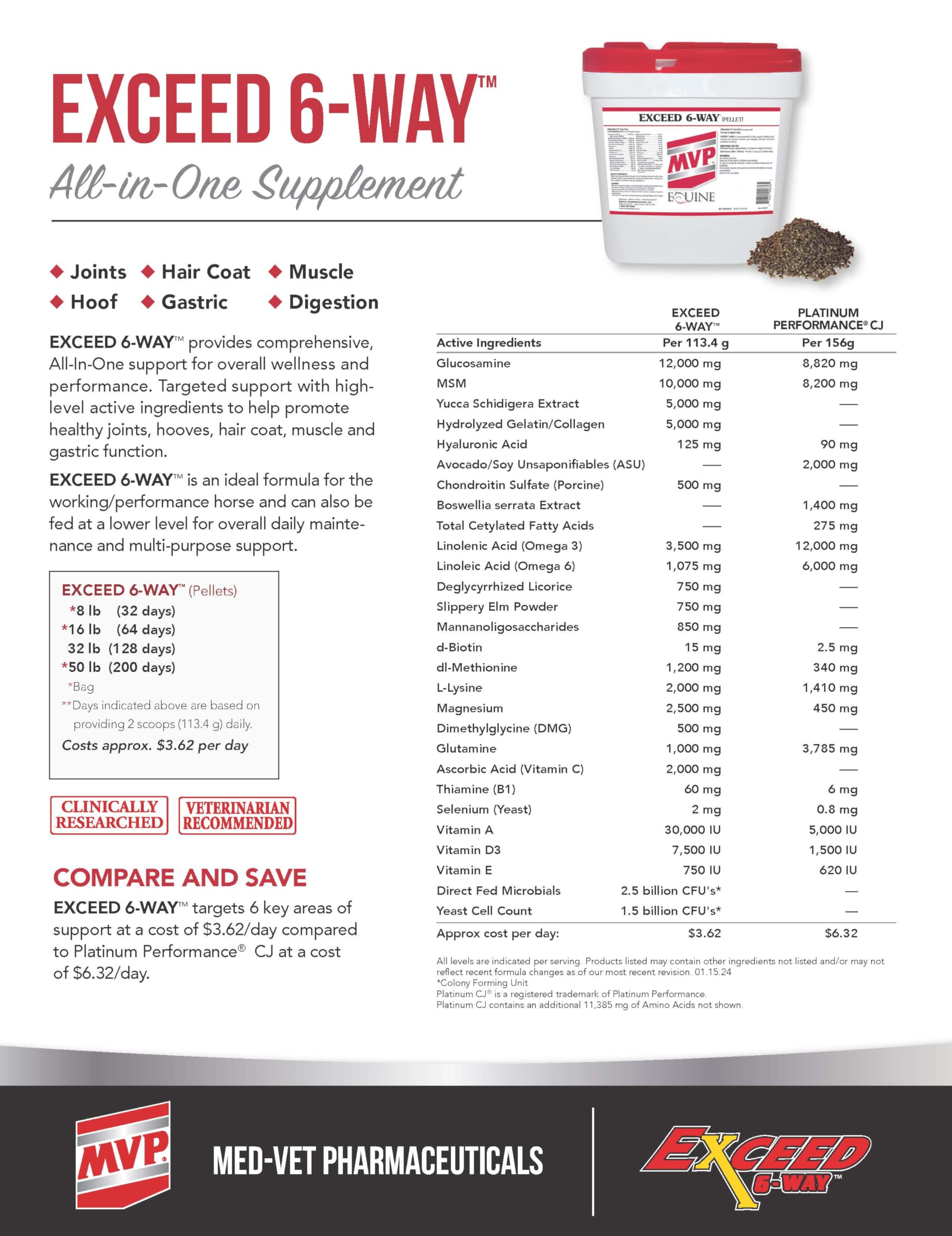MVP Exceed 6-Way (8 lb) All in One High Level Performance Horse Support