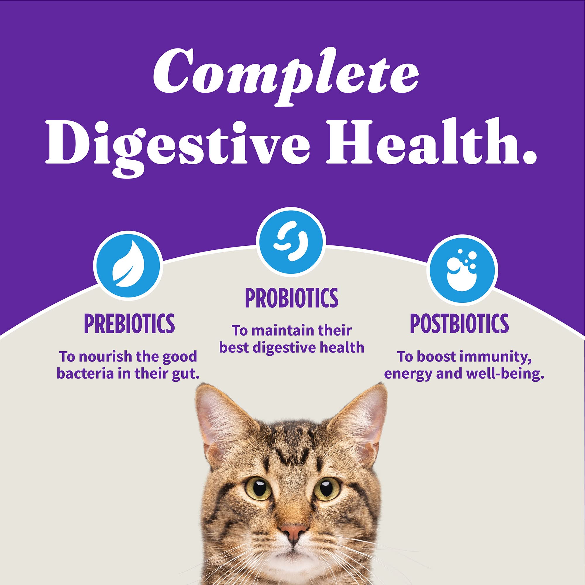 Halo Holistic Cat Food Dry, Wild-caught Whitefish Recipe for Sensitive Stomach Support, Complete Digestive Health, Dry Cat Food
