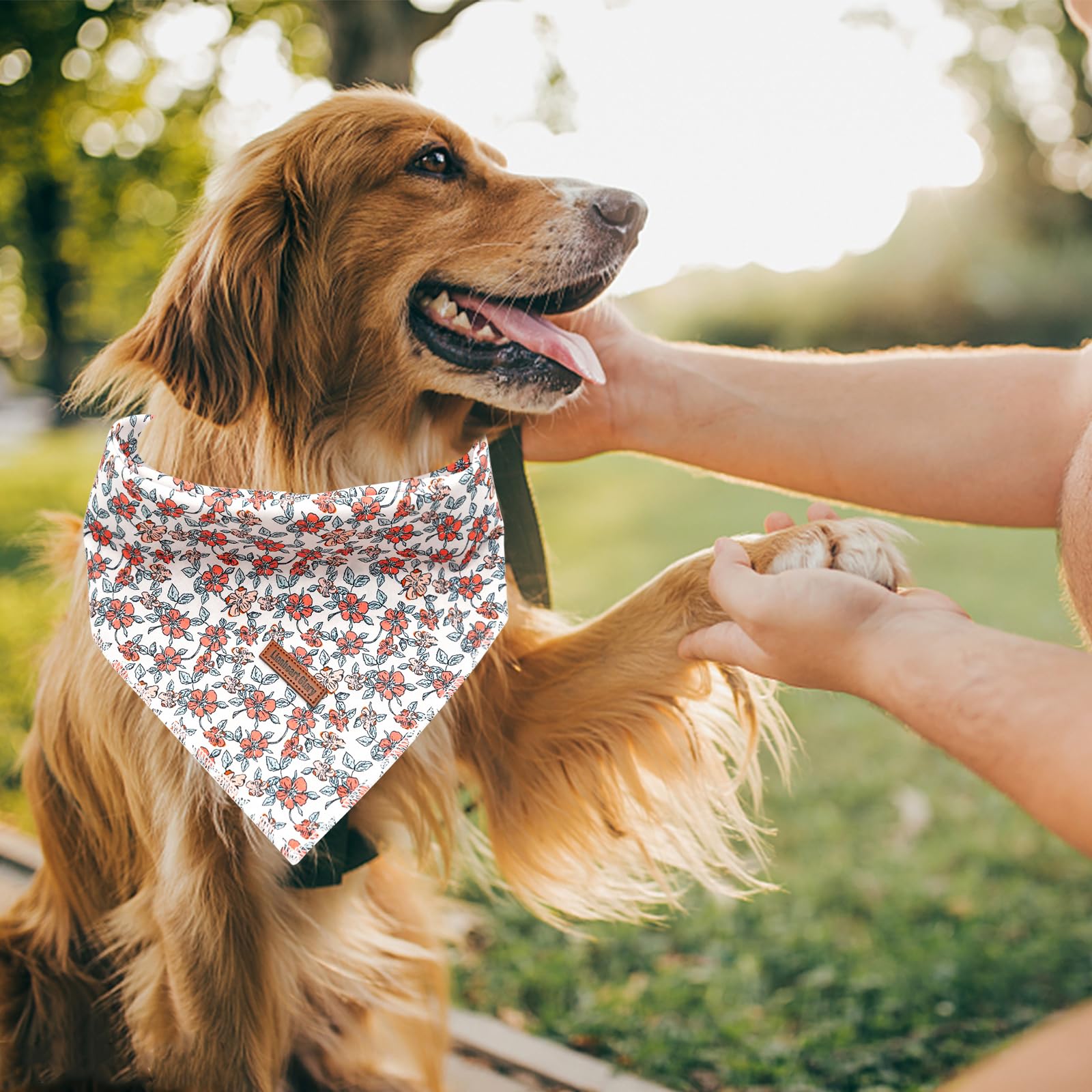 Lionheart Glory Dog Bandana 1 Pack Washable Soft Dog Scarf, Fall Bib Scarf Boy Girl Bandana Square Adjustable Dog Bandanas For S