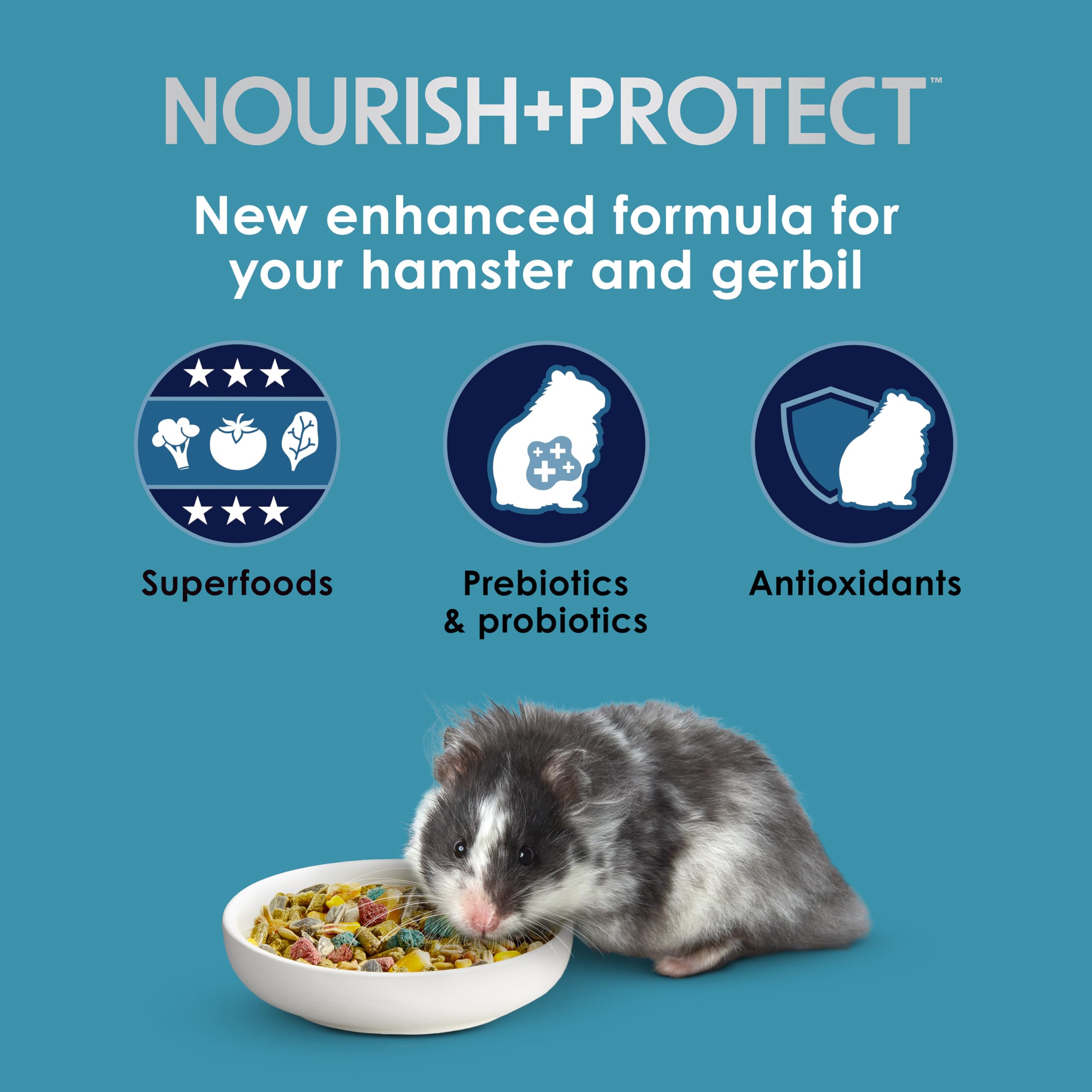 Kaytee Forti-Diet Pro Health Nourish+Protect Hamster and Gerbil Food, Comprehensive Nutrition Backed by Science, Digestive Healt