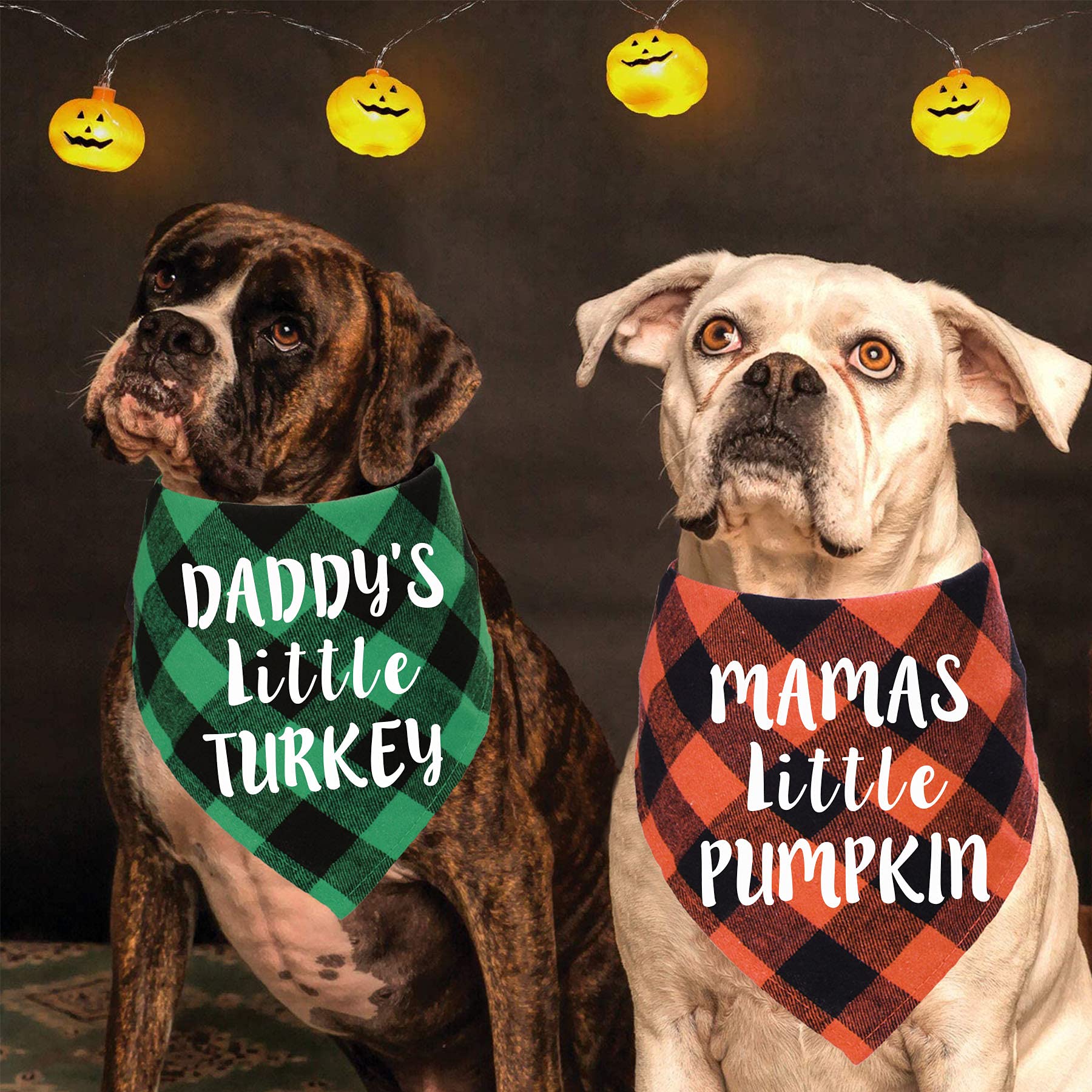 Stmk Holiday Plaid Dog Bandanas, Halloween Thanksgiving Day DaddyS Little Turkey Mamas Little Pumpkin Dog Bandana Scarf For Halloween Thanksgiving Day Dog Puppy Costume Decorations