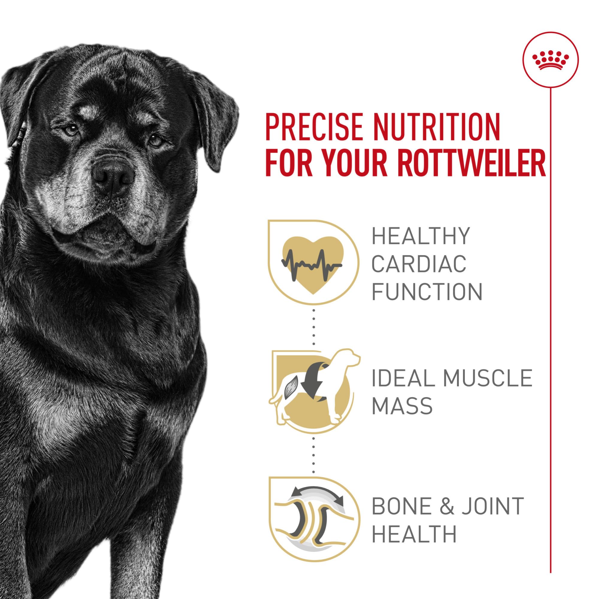 Royal Canin Rottweiler Adult Breed Specific Dry Dog Food, 30 lb bag