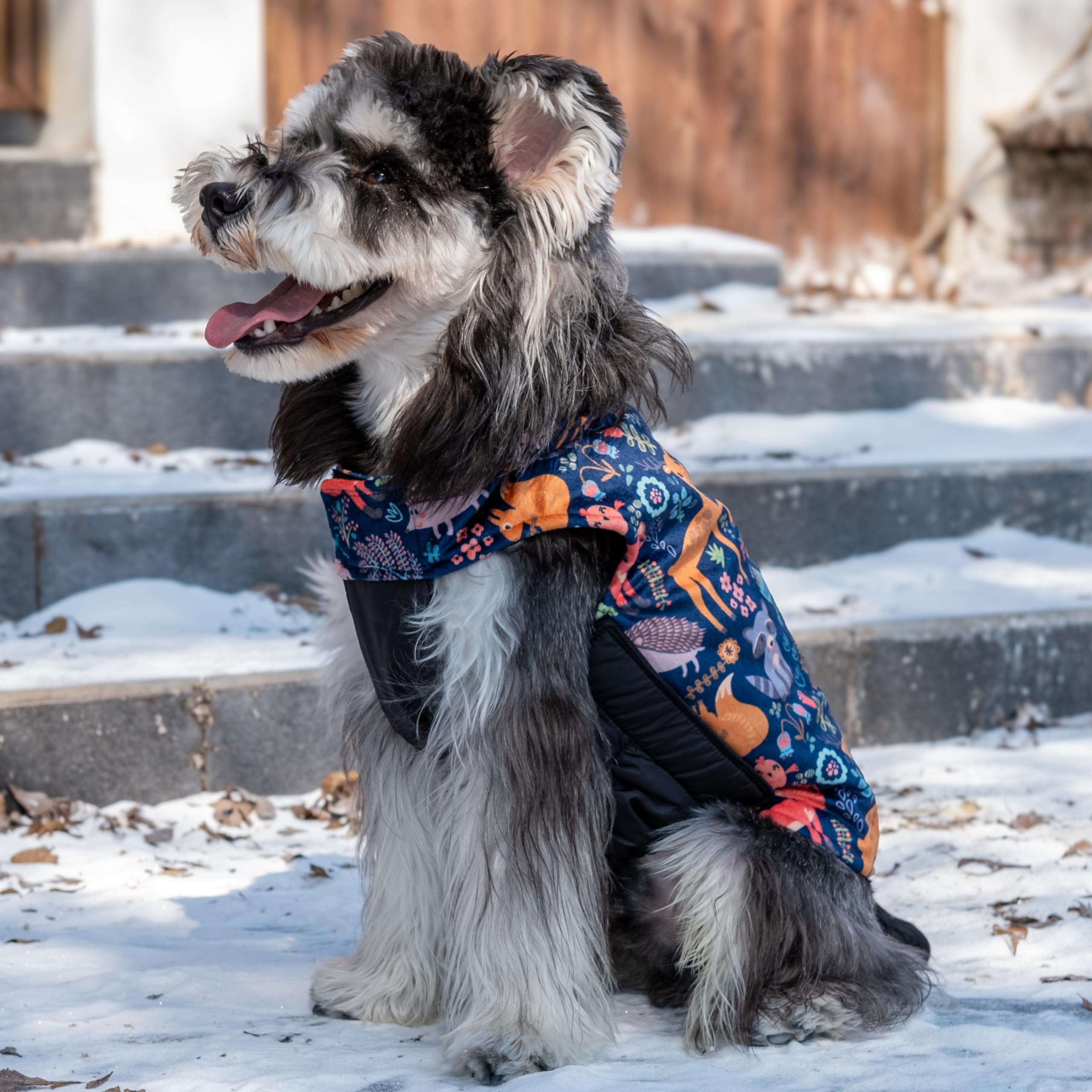 Cutebone Winter Dog Coat - Waterproof Windproof Reversible Jacket With Leash Hole - Thick Adjustable Soft Coats For Small To Lar