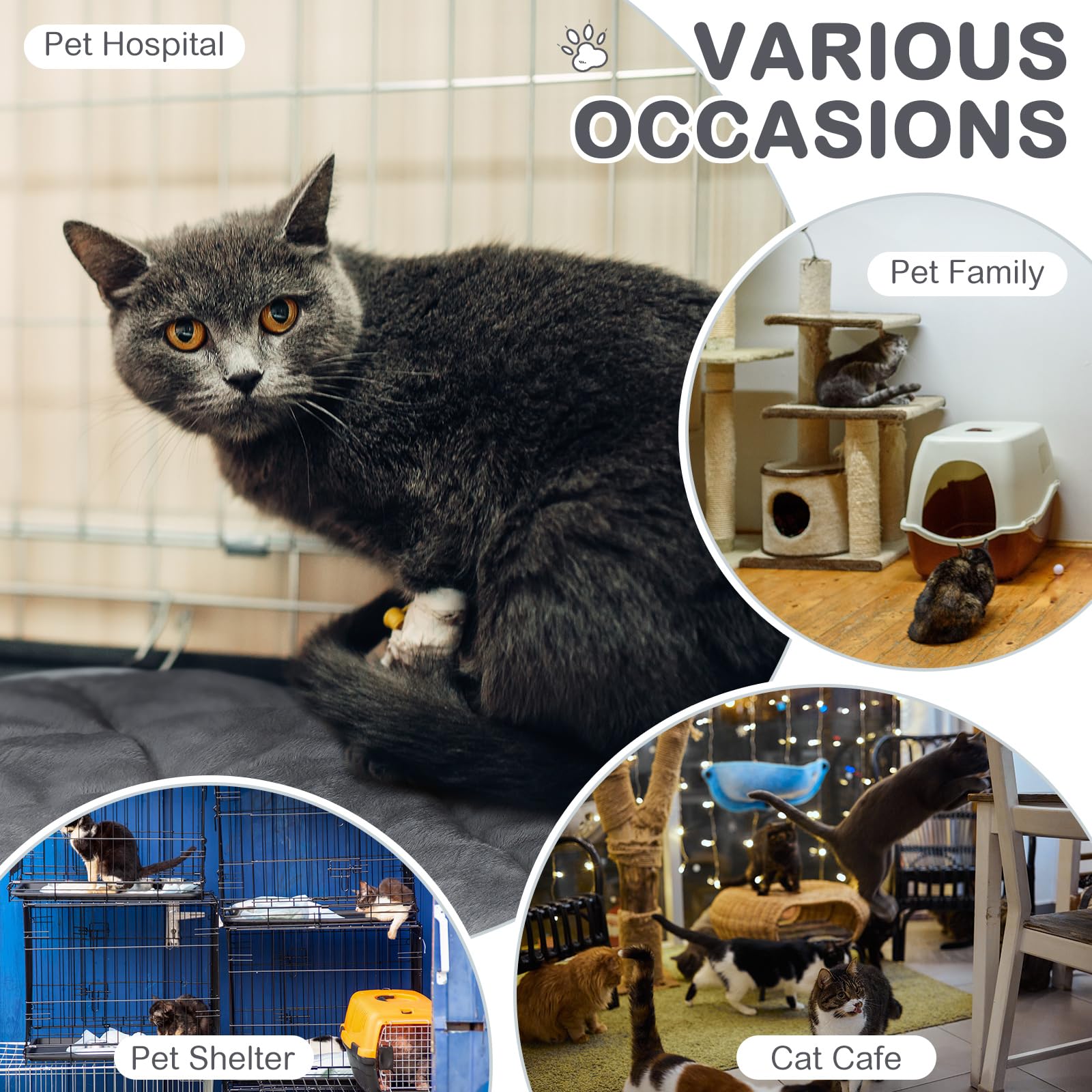 Clysee Self-Heating Cat Mat, Extra Warm Thermal Pet Bed, 16 x 20 Inch, Gray, Fluffy Fabric, Model KEN-Clysee-0452