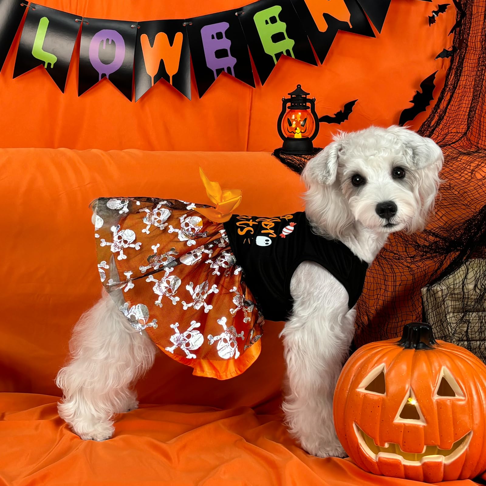 Xpudac Halloween Dog Dress Costumes For Small Dogs Girl Tulle Dress Dog Clothes Skull Holiday Pet Costume Cat Outfits, Orange-Xs