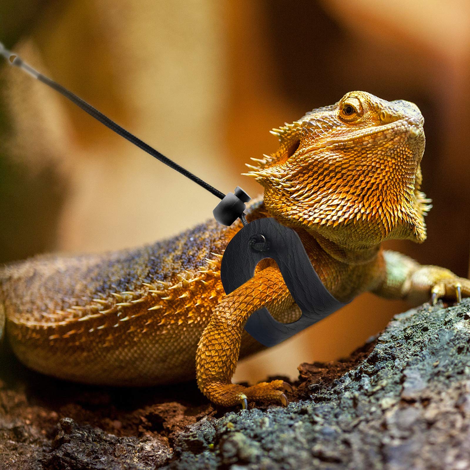 BWOGUE Bearded Dragon Harness and Leash Adjustable Leather Lizard Reptiles Harness Leash for Amphibians and Other Small Pet Anim
