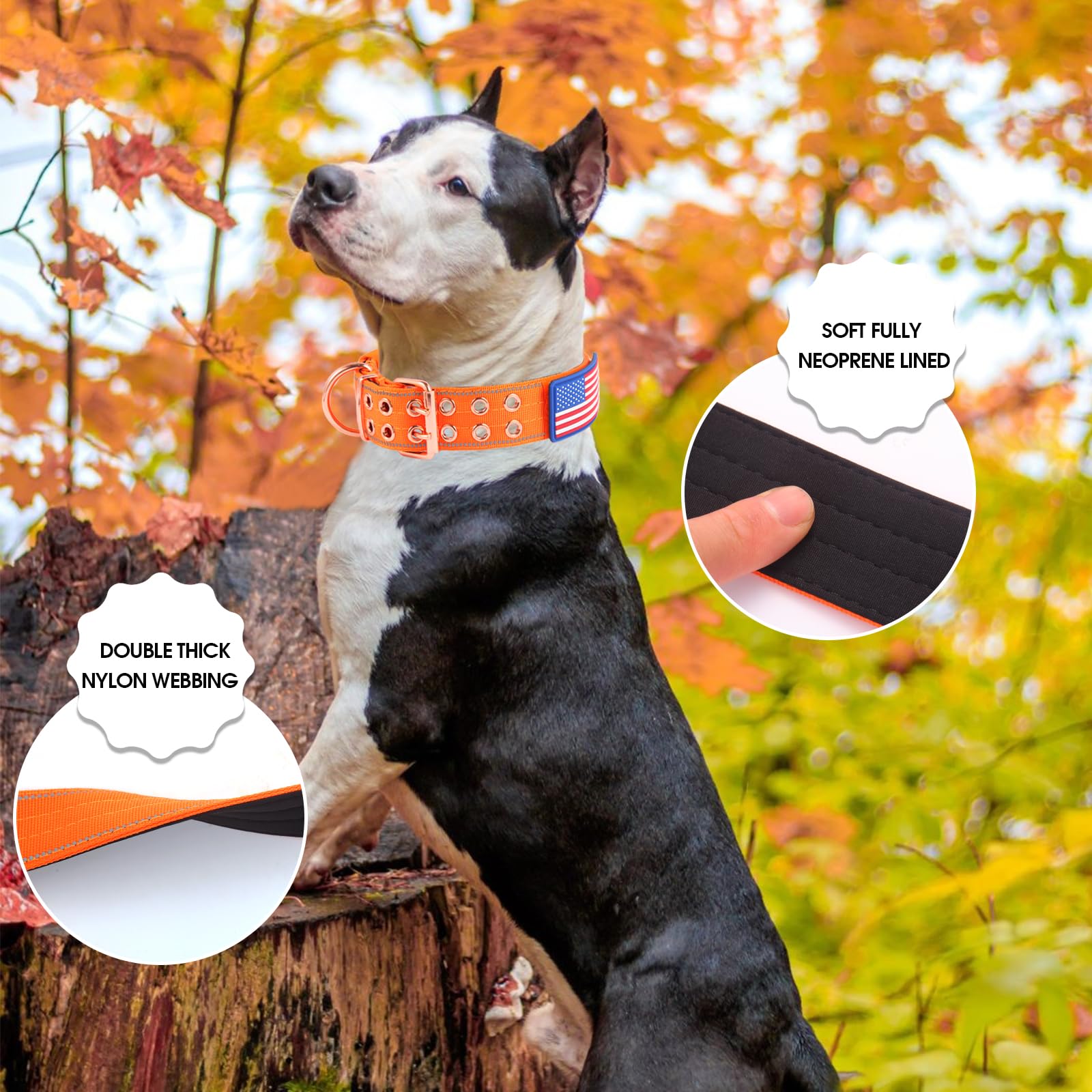 Yunleparks Heavy Duty Tactical Dog Collar With Neoprene Padded And Metal Buckle, Reflective Nylon For Medium To Large Dogs(Orang