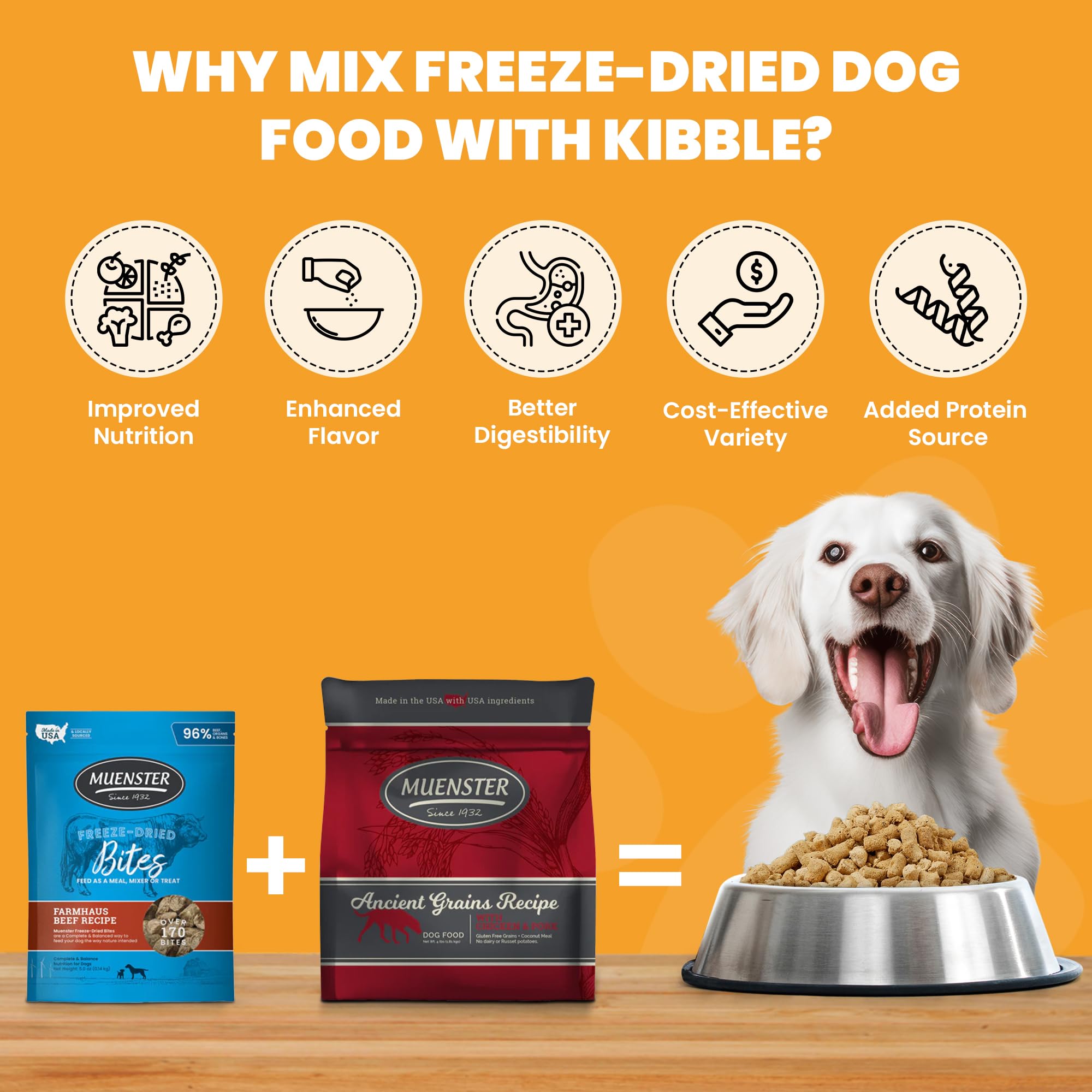 Muenster Ancient Grains Chicken & Pork Dry Dog Food, 4lb - Gluten-Free, High Protein, Digestive Support