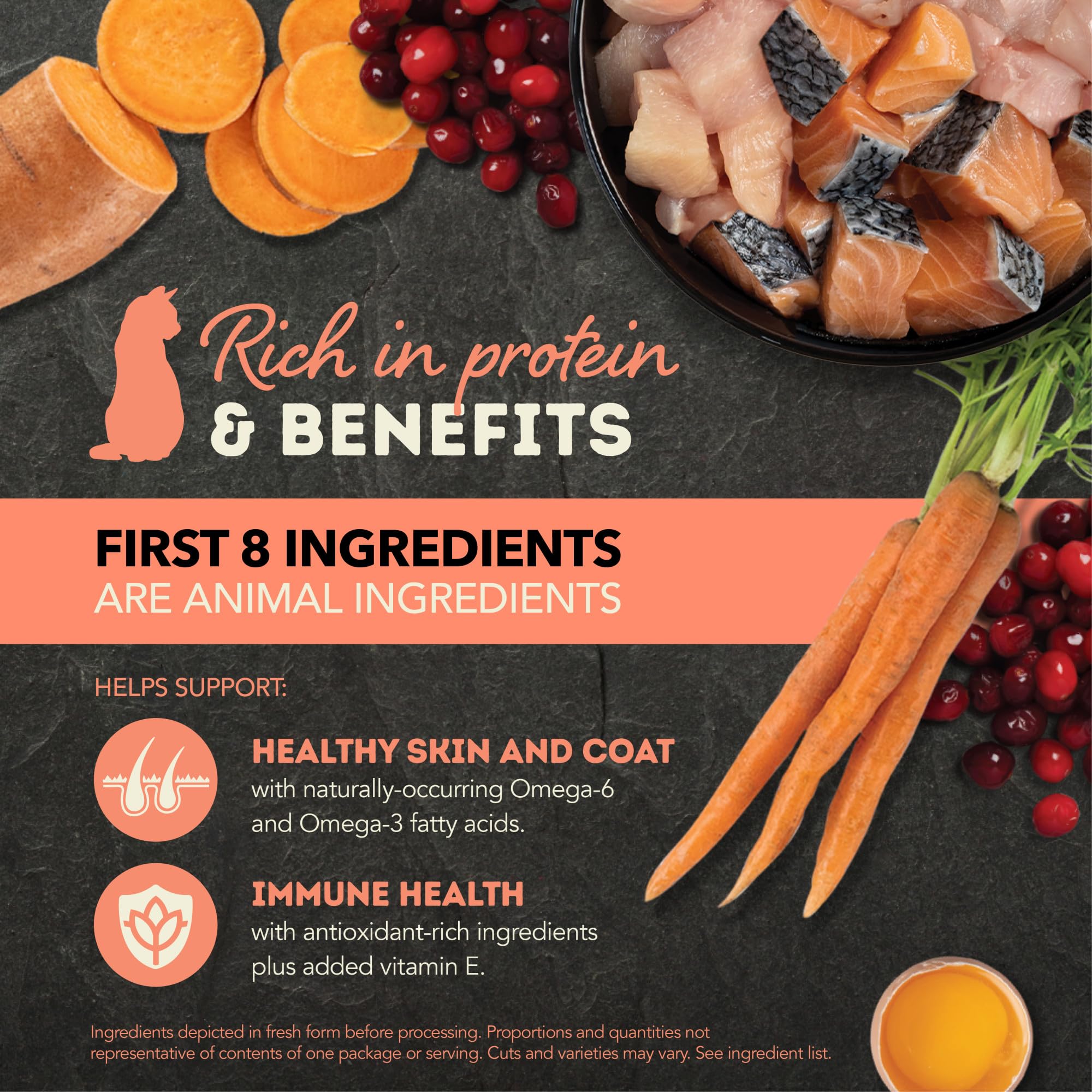 ACANA Premium Pate Wet Cat Food in Bone Broth Salmon + Chicken Recipe 5.5oz Cans (12 count)