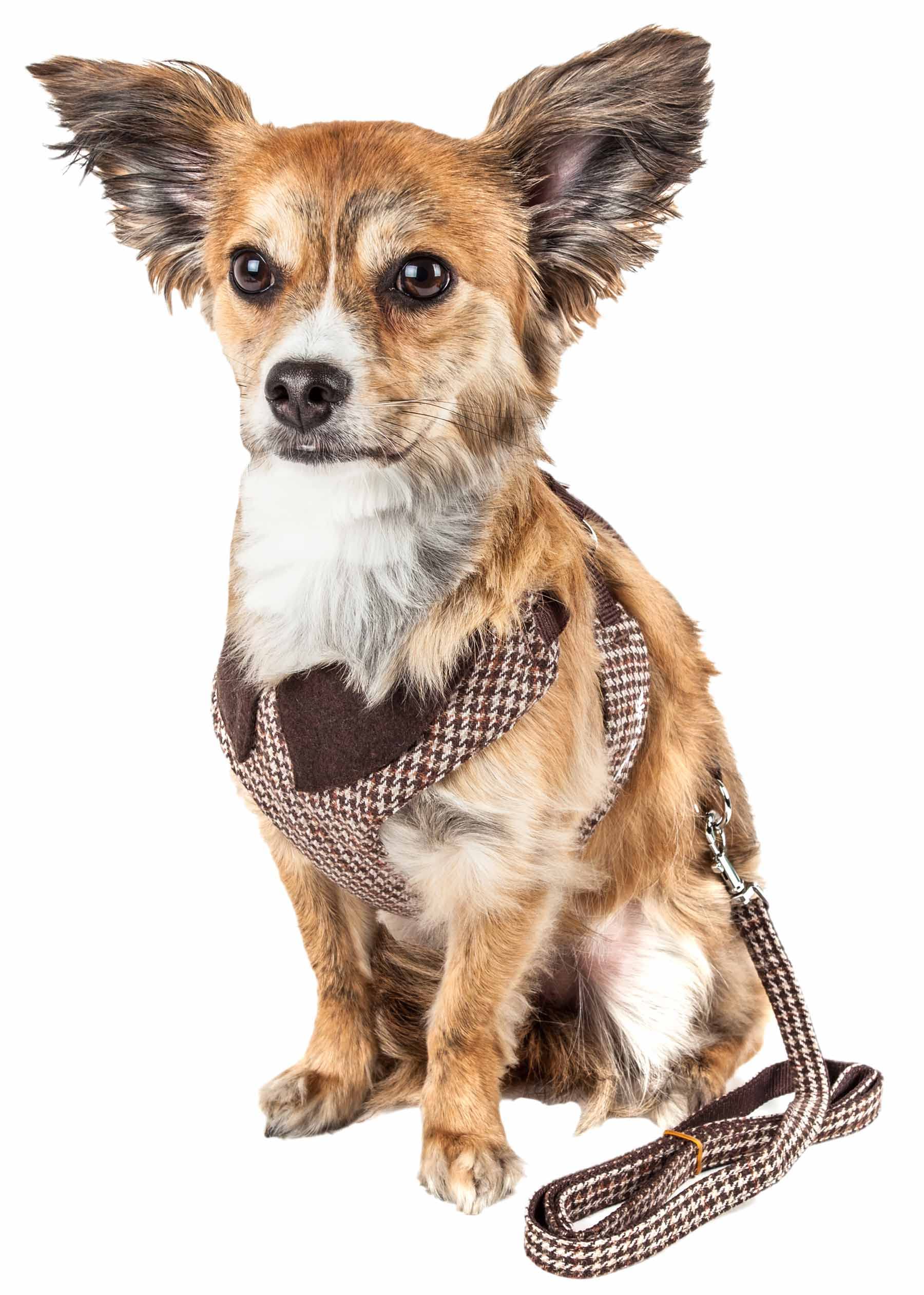 Pet Life ® Luxe Collection Houndsome 2-in-1 Dog Harness and Leash with Fashion Dog Collar - Pet Harness with Reversible Mesh and Alloy Dog Leash Attachment Brown