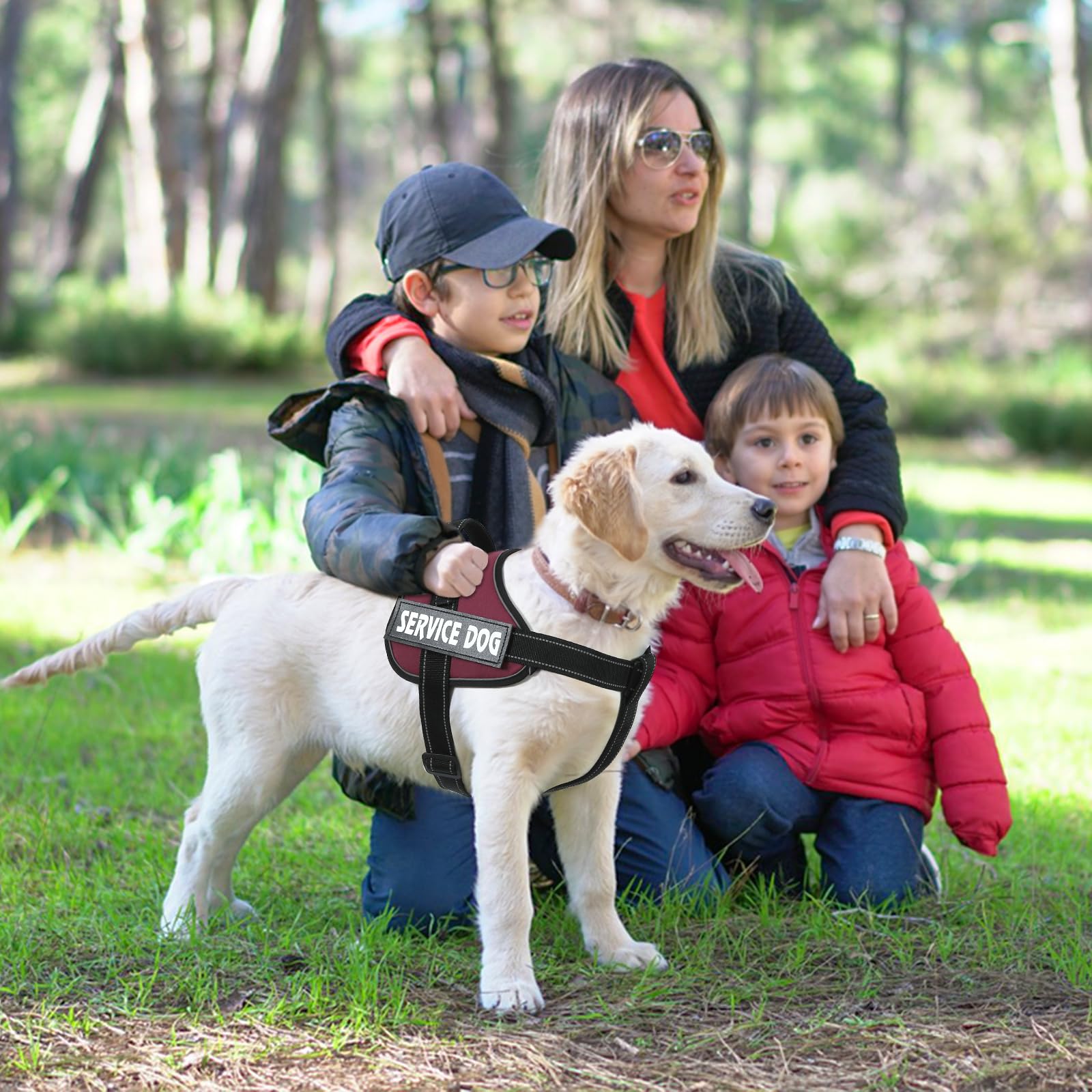 Voopet Emotional Support Dog Harness, Professional Service Dog Vest For Medium Dogs, Reflective, Breathable, Adjustable, No Pull
