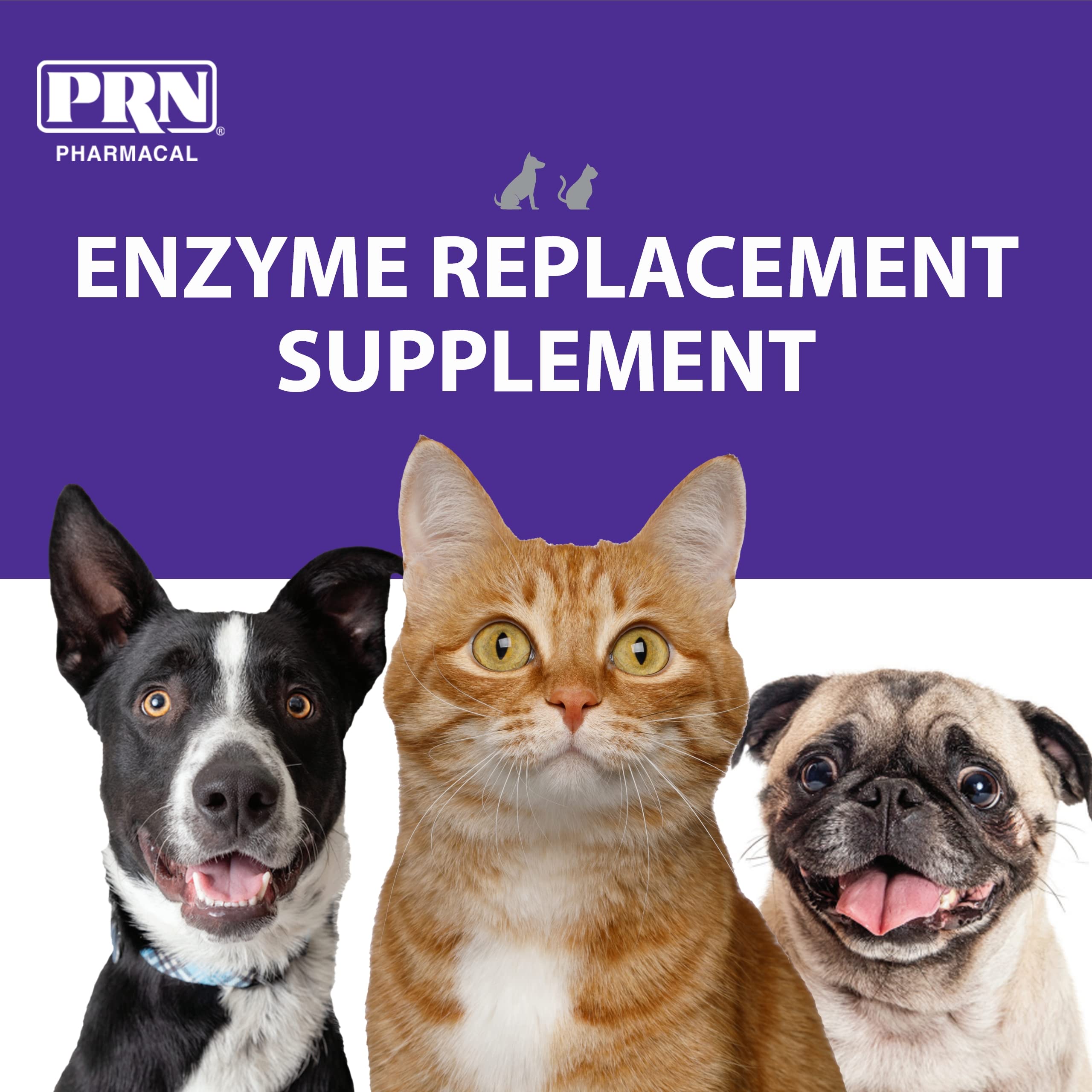 PRN Pharmacal ProZyme Original Formula Enzyme Replacement Supplement - Reinforces Animals Digestive System, Supports Dog & Cat