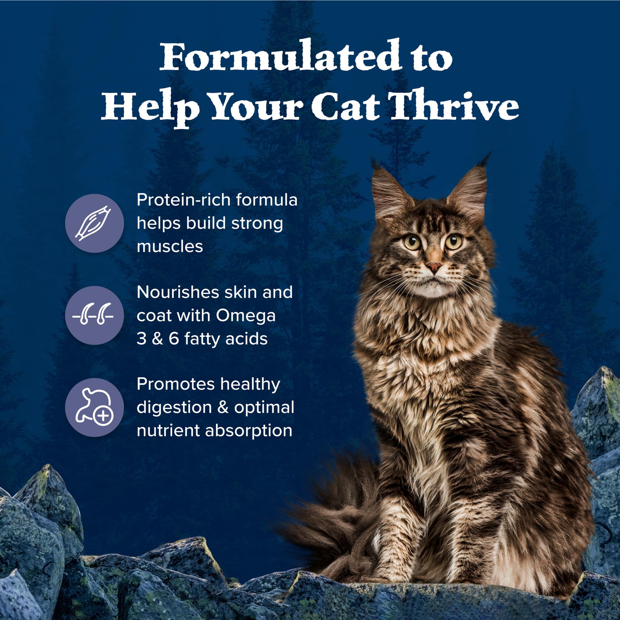 Blue Buffalo Wilderness Natures Evolutionary Diet High-Protein, Grain-Free Natural Dry Food for Adult Cats, Chicken, 6-lb. Bag