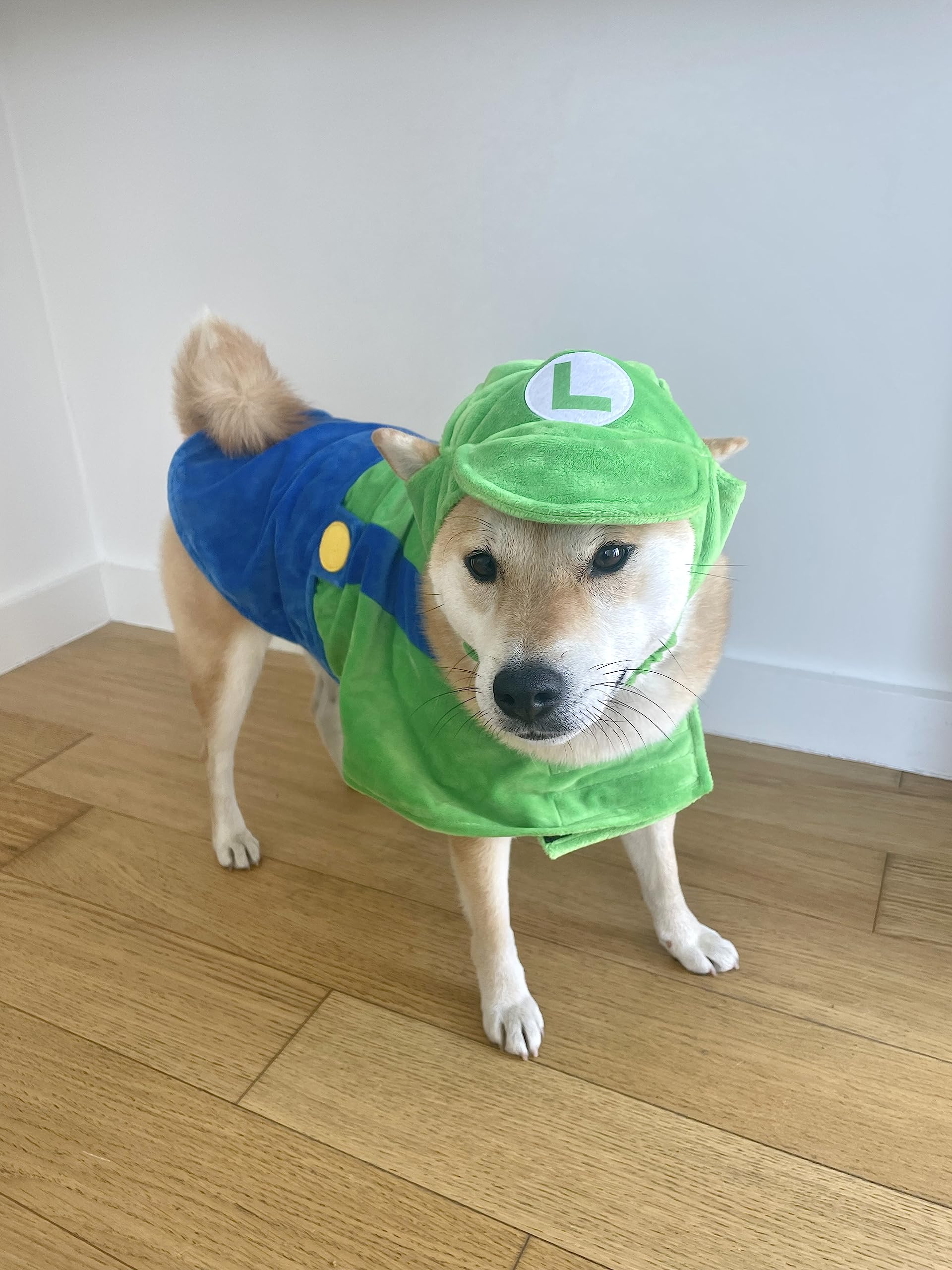 ComfyCamper Dog Costume - Hat & Suspenders, Large, Green, Polyester, X Large Medium Small Lab Star Space, Perfect for Halloween
